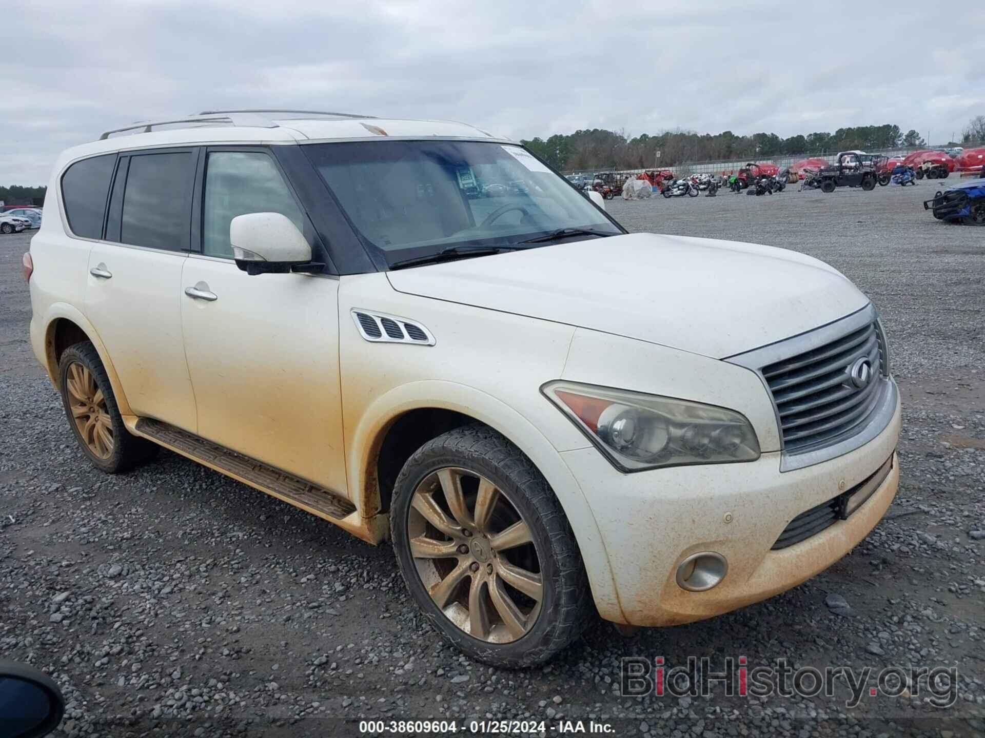 Photo JN8AZ2NF7D9550725 - INFINITI QX56 2013