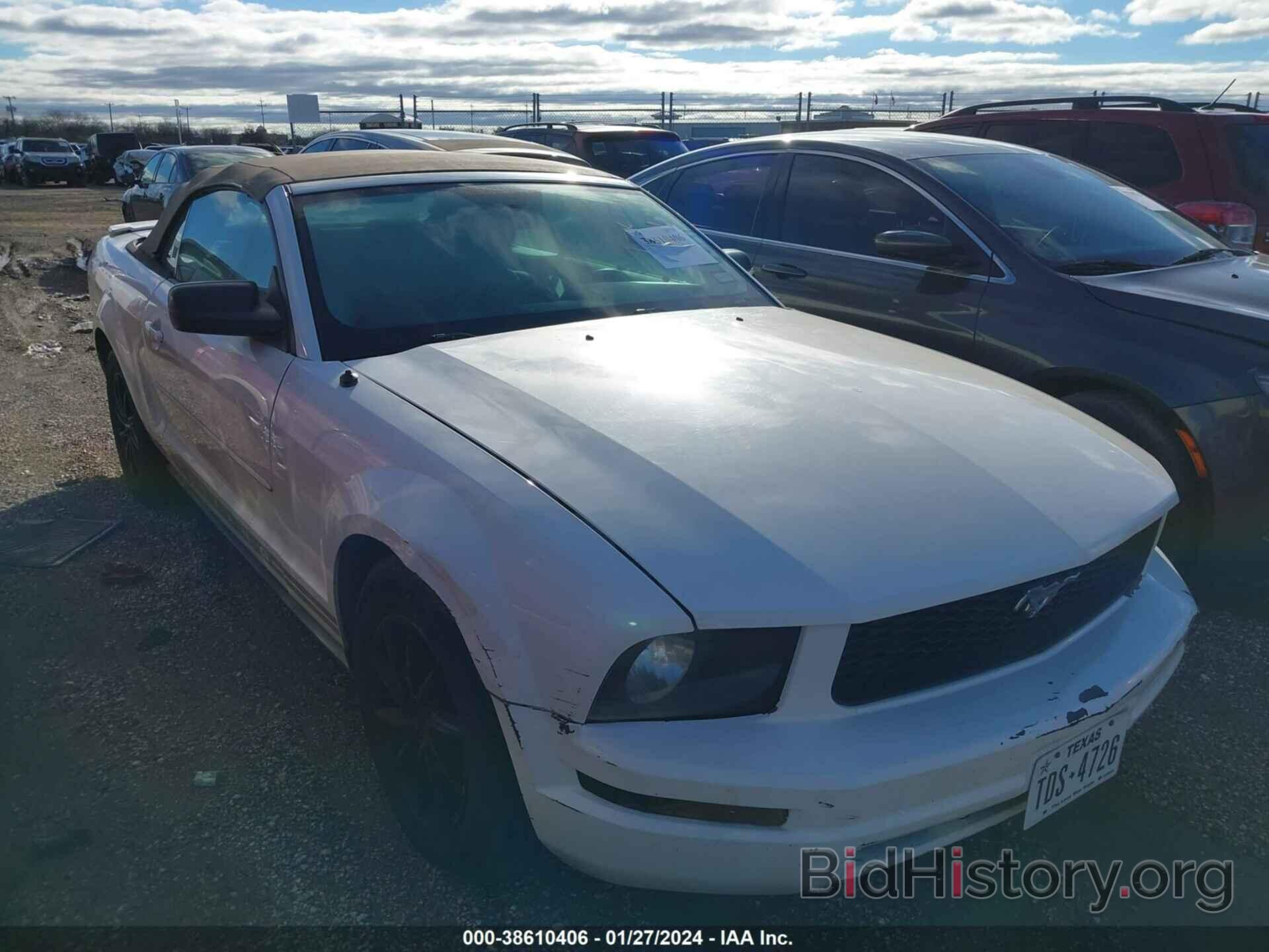 Photo 1ZVHT84N785209035 - FORD MUSTANG 2008