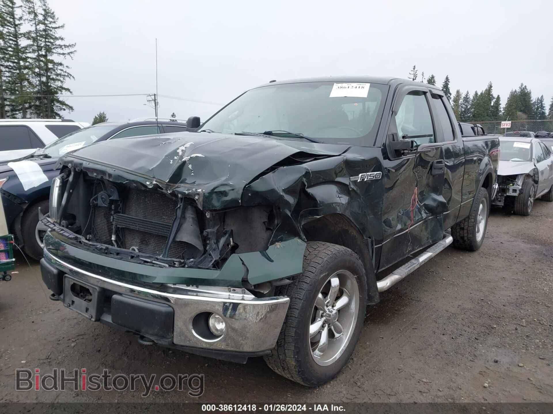 2013 FORD F-150 - VIN: 1FTFX1EF9DKD09291 - Фото 6