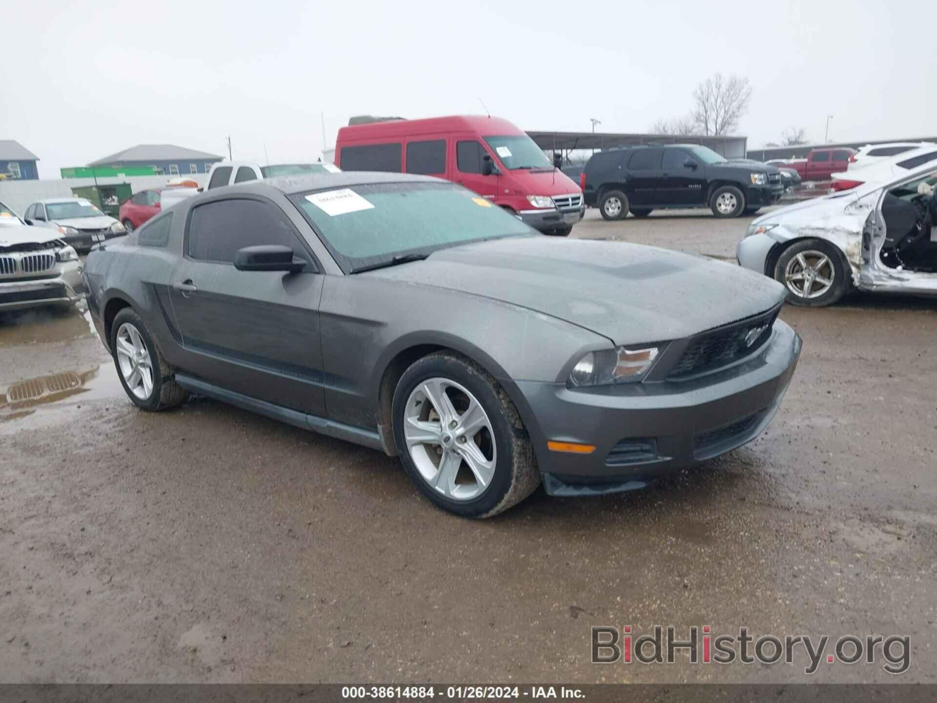 Photo 1ZVBP8AN4A5132905 - FORD MUSTANG 2010