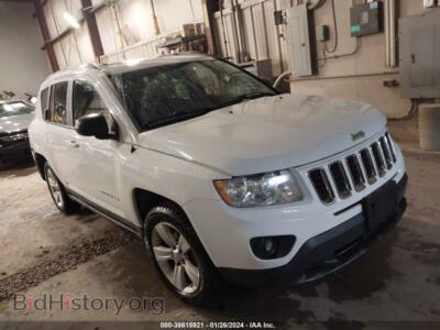 2011 Jeep COMPASS, white — VIN 1J4NF1FB5BD240413, IAAI