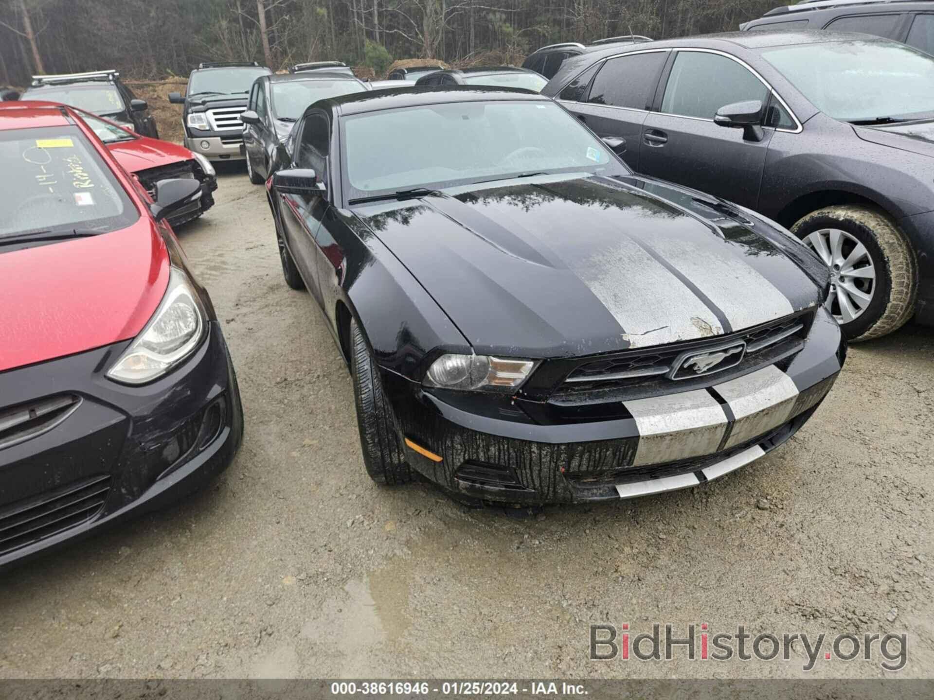 Photo 1ZVBP8AM3C5281316 - FORD MUSTANG 2012