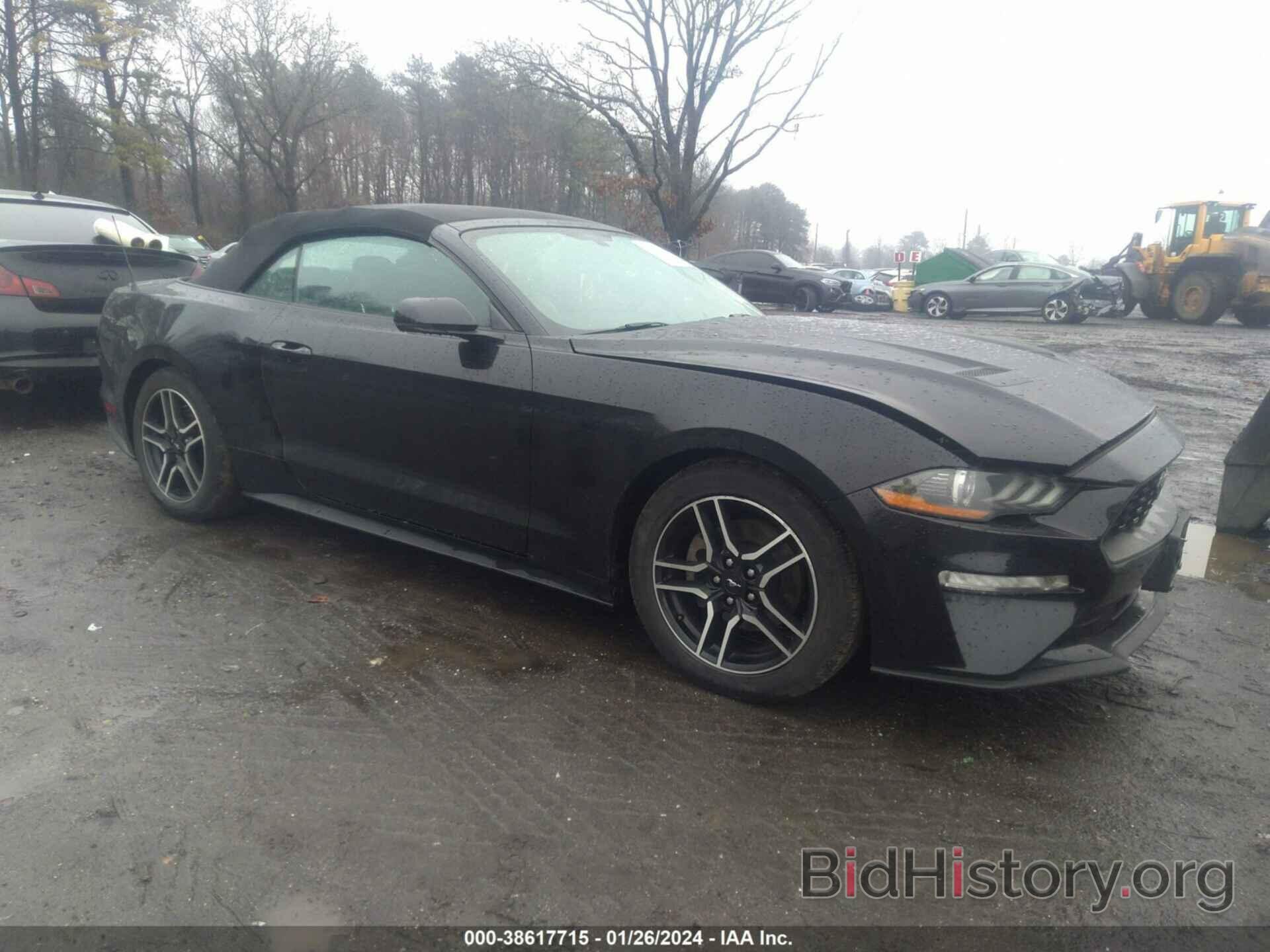 Photo 1FATP8UH7K5179446 - FORD MUSTANG 2019