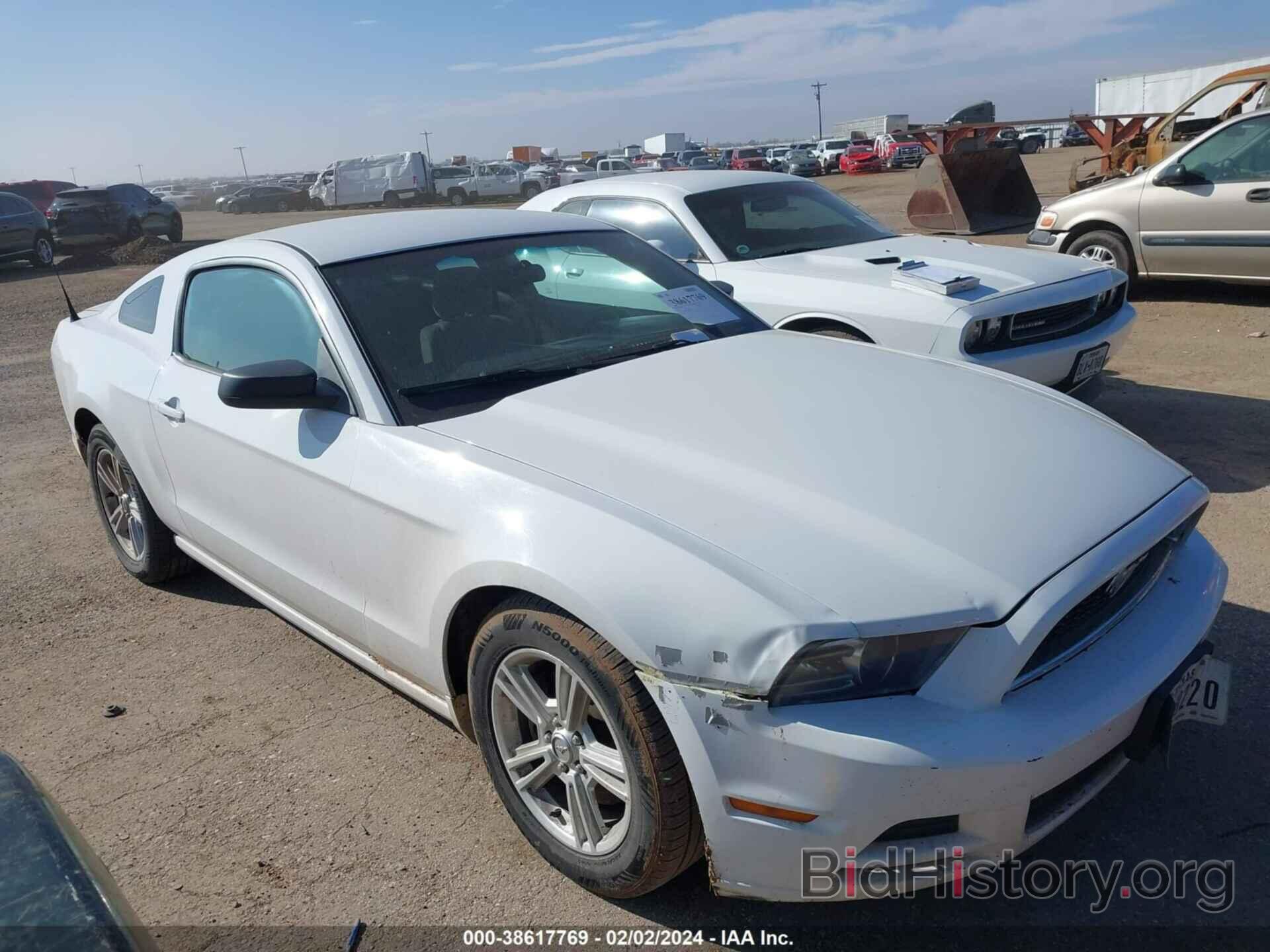 Photo 1ZVBP8AM4E5259053 - FORD MUSTANG 2014