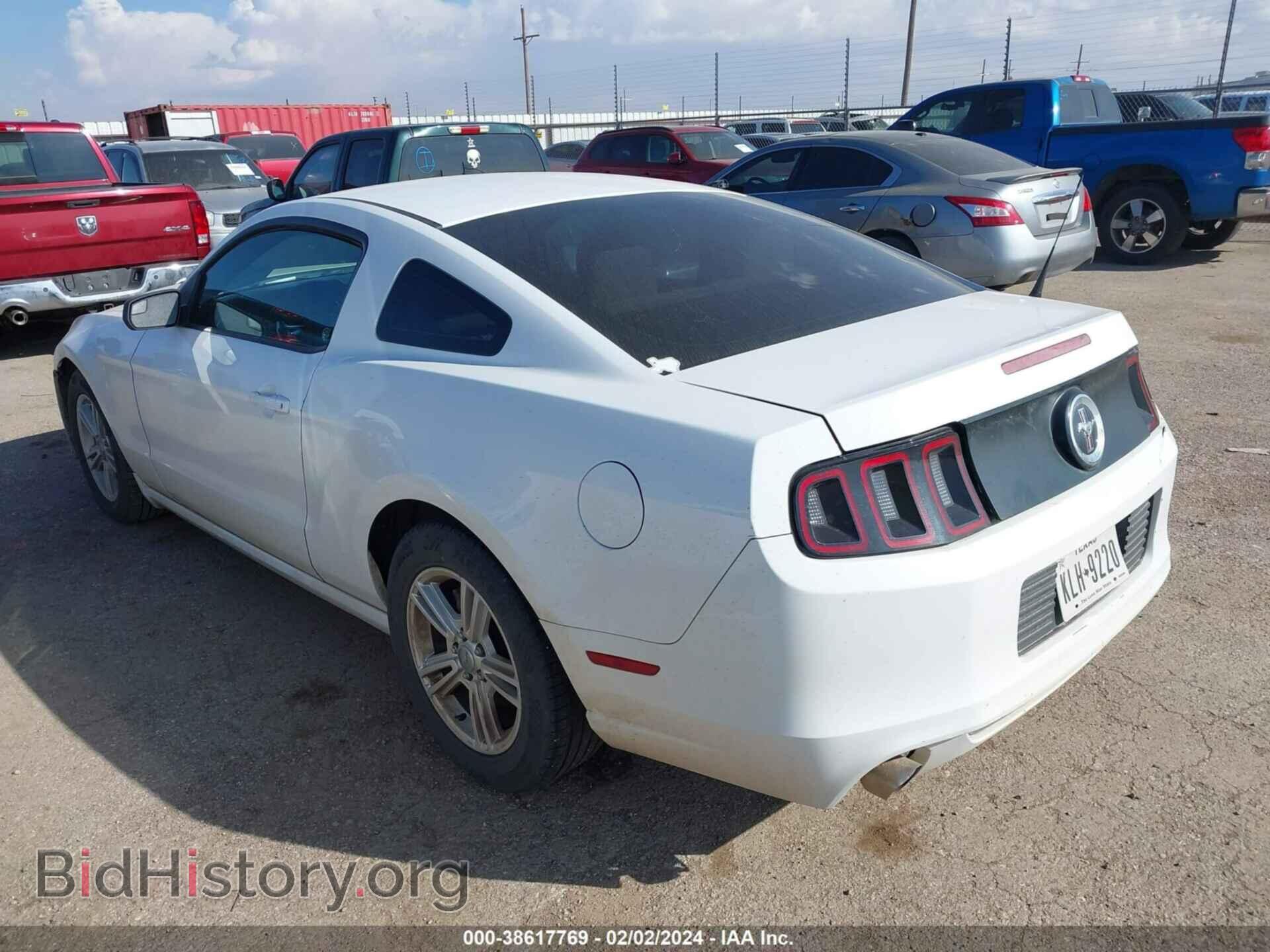 2014 FORD MUSTANG - VIN: 1ZVBP8AM4E5259053 - Фото 3
