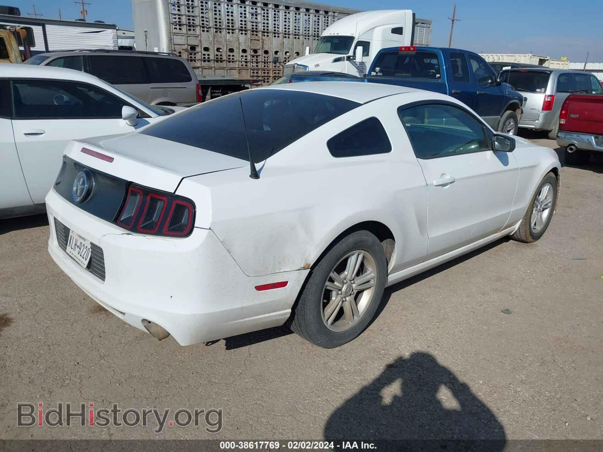 2014 FORD MUSTANG - VIN: 1ZVBP8AM4E5259053 - Фото 4