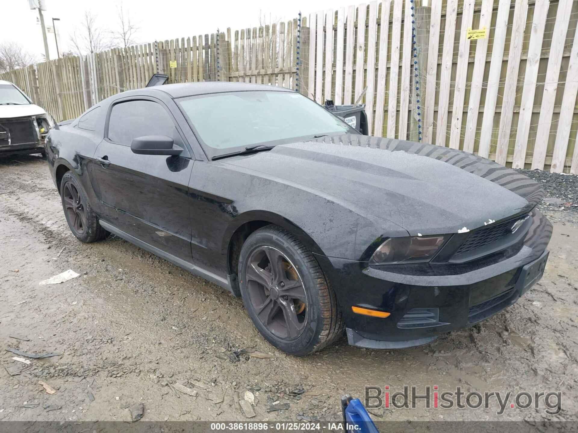 Photo 1ZVBP8AN9A5168718 - FORD MUSTANG 2010