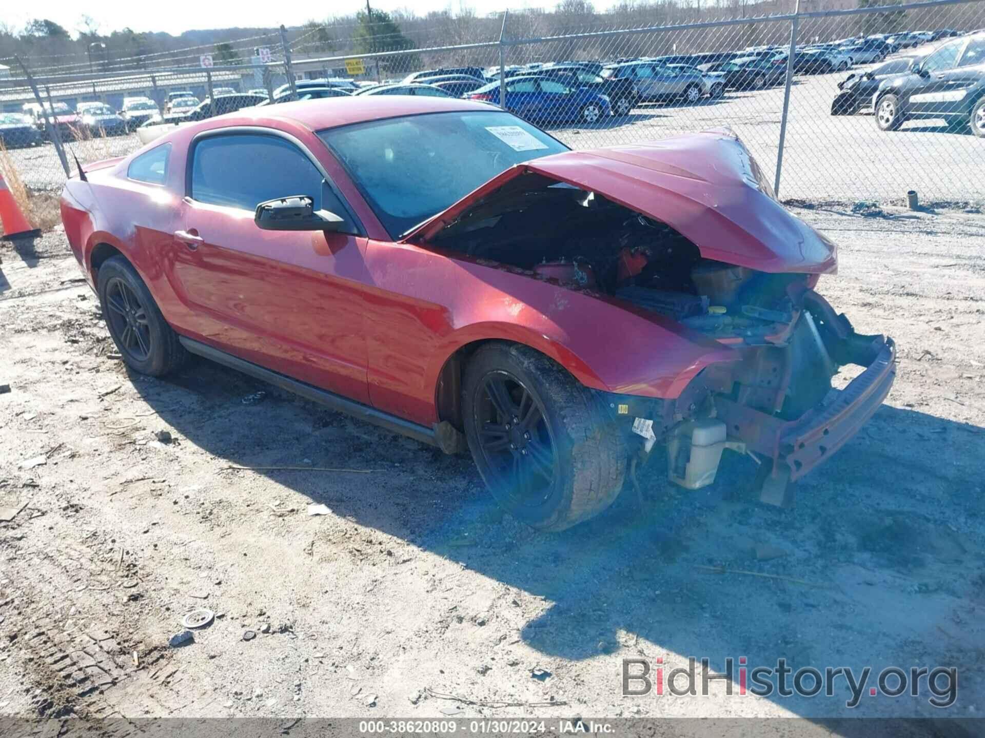 Photo 1ZVBP8AM2C5224329 - FORD MUSTANG 2012