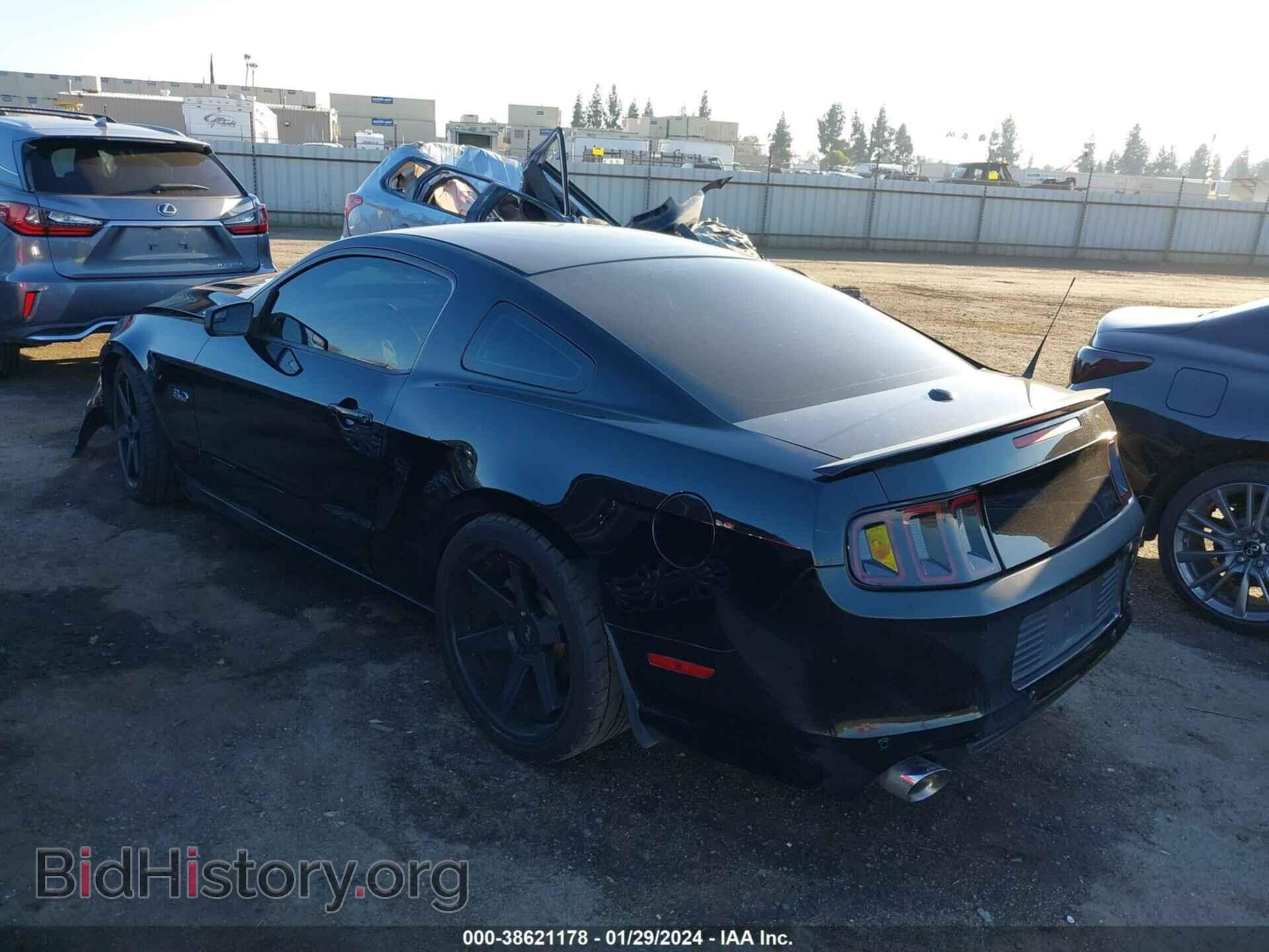 2013 FORD MUSTANG - VIN: 1ZVBP8CF9D5251589 - Фото 3