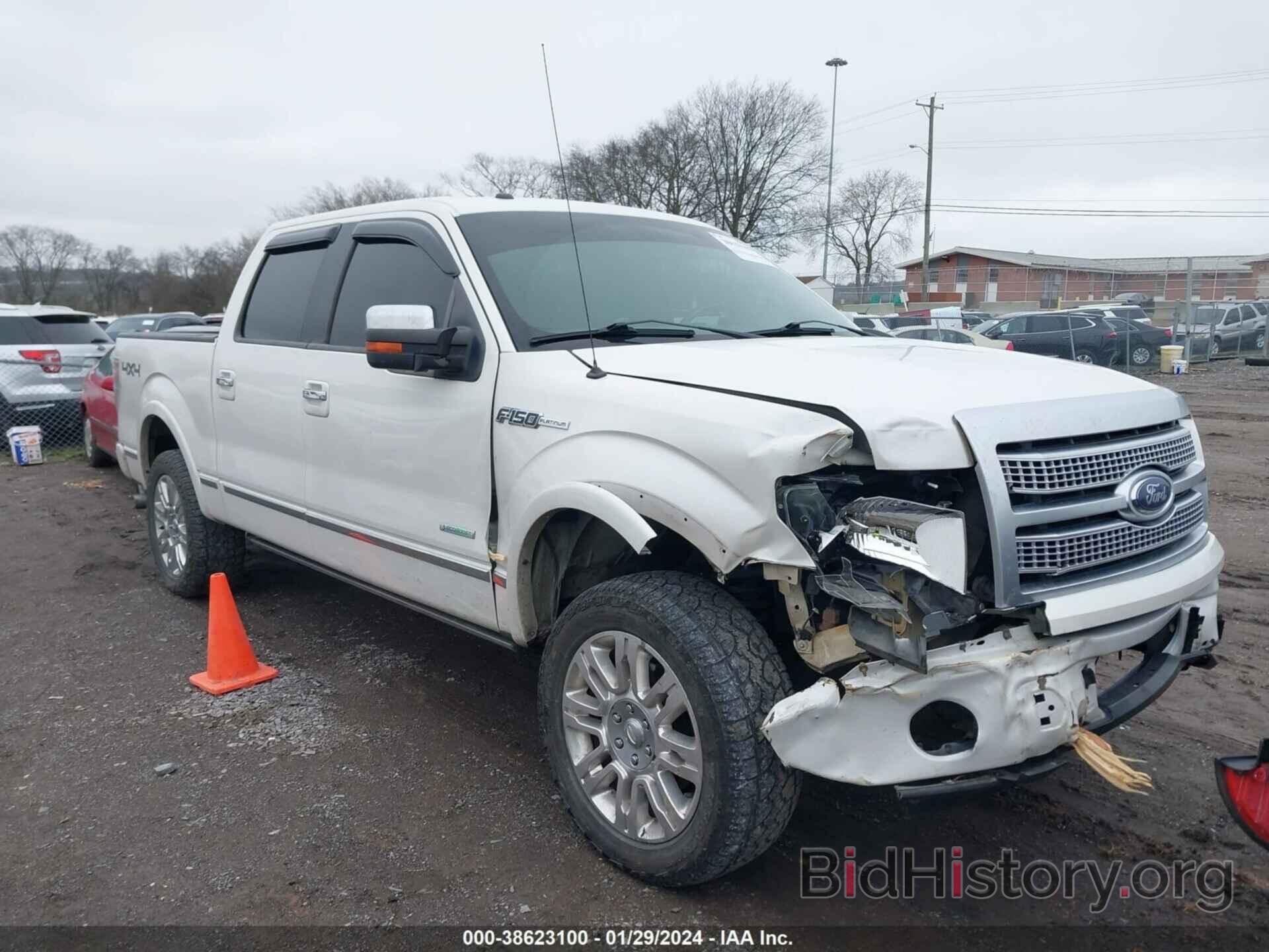 Photo 1FTFW1ET8BFD02668 - FORD F-150 2011