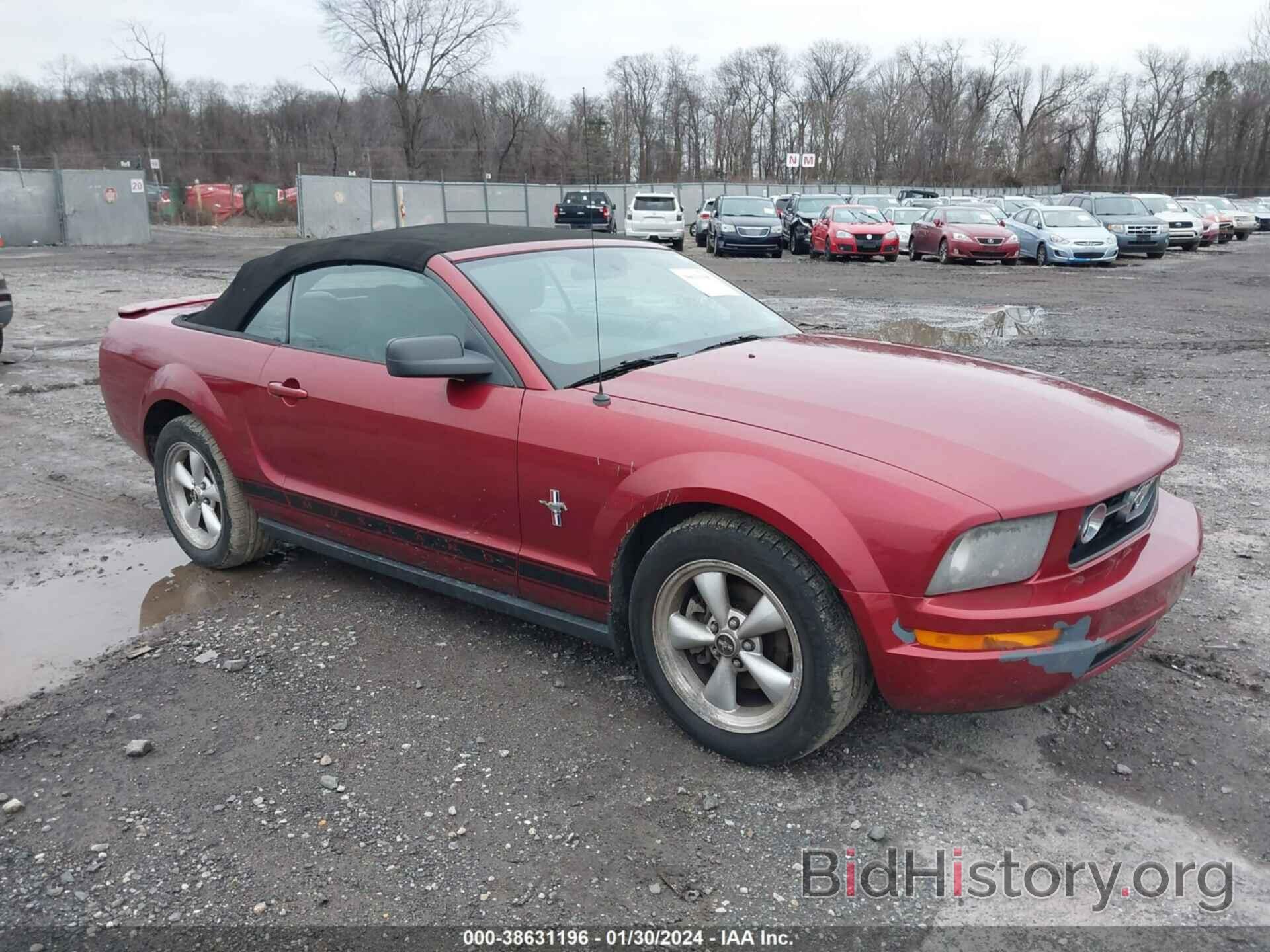 Photo 1ZVHT84NX75362197 - FORD MUSTANG 2007