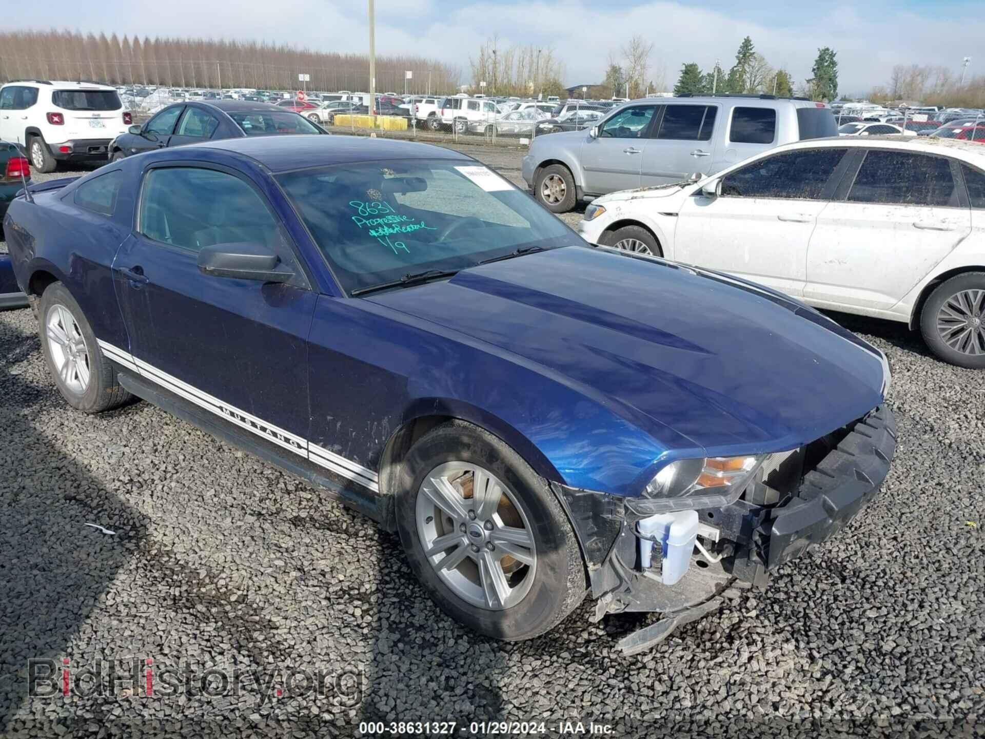 Фотография 1ZVBP8AM9B5154973 - FORD MUSTANG 2011