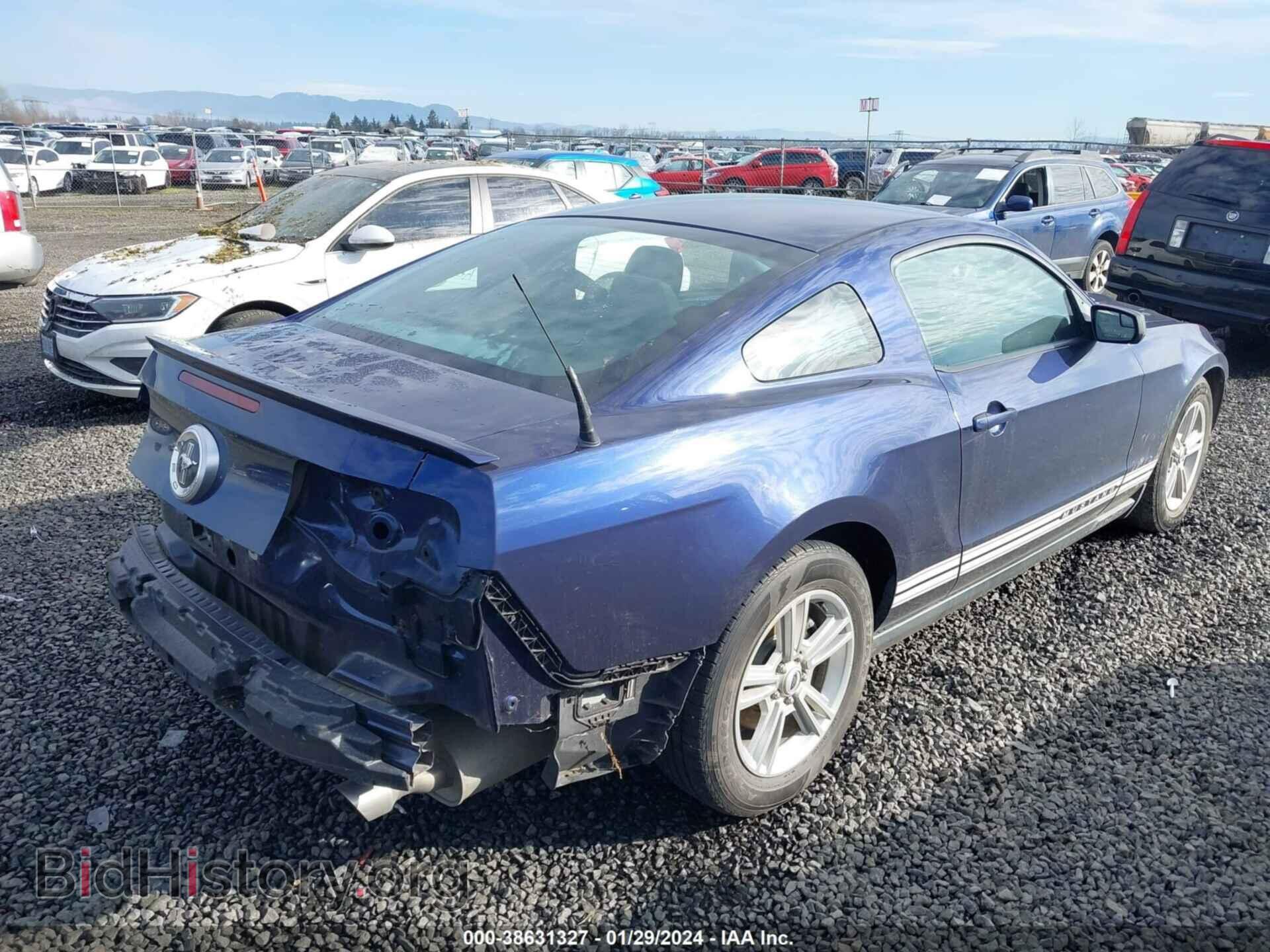 2011 FORD MUSTANG - VIN: 1ZVBP8AM9B5154973 - Фото 4
