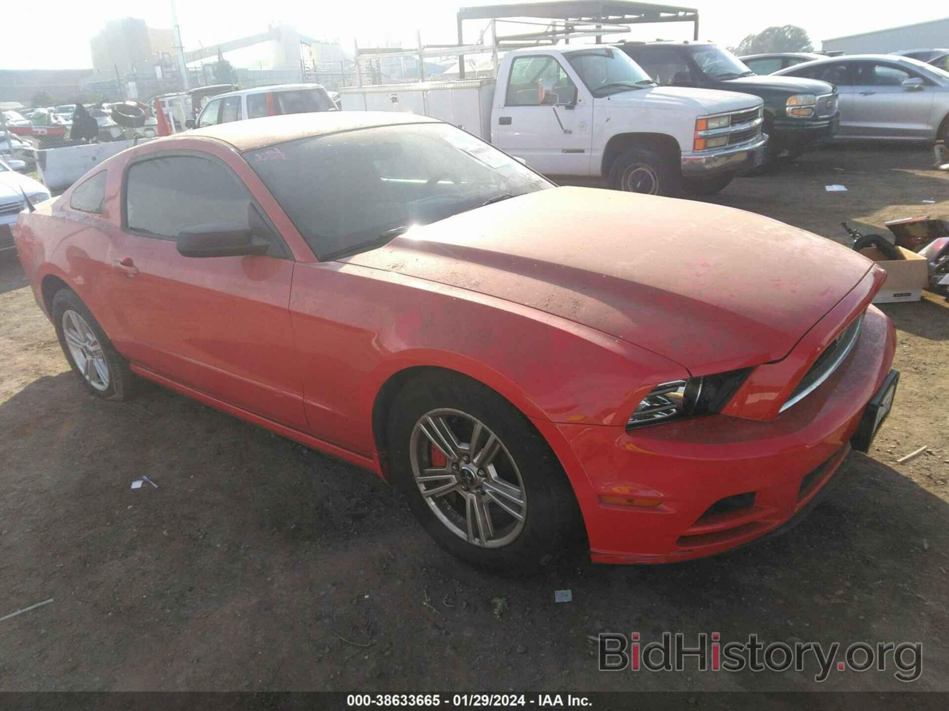 Photo 1ZVBP8AM0D5279993 - FORD MUSTANG 2013