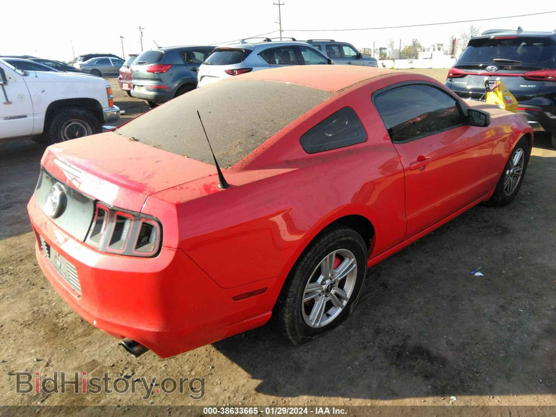 2013 FORD MUSTANG - VIN: 1ZVBP8AM0D5279993 - Фото 4