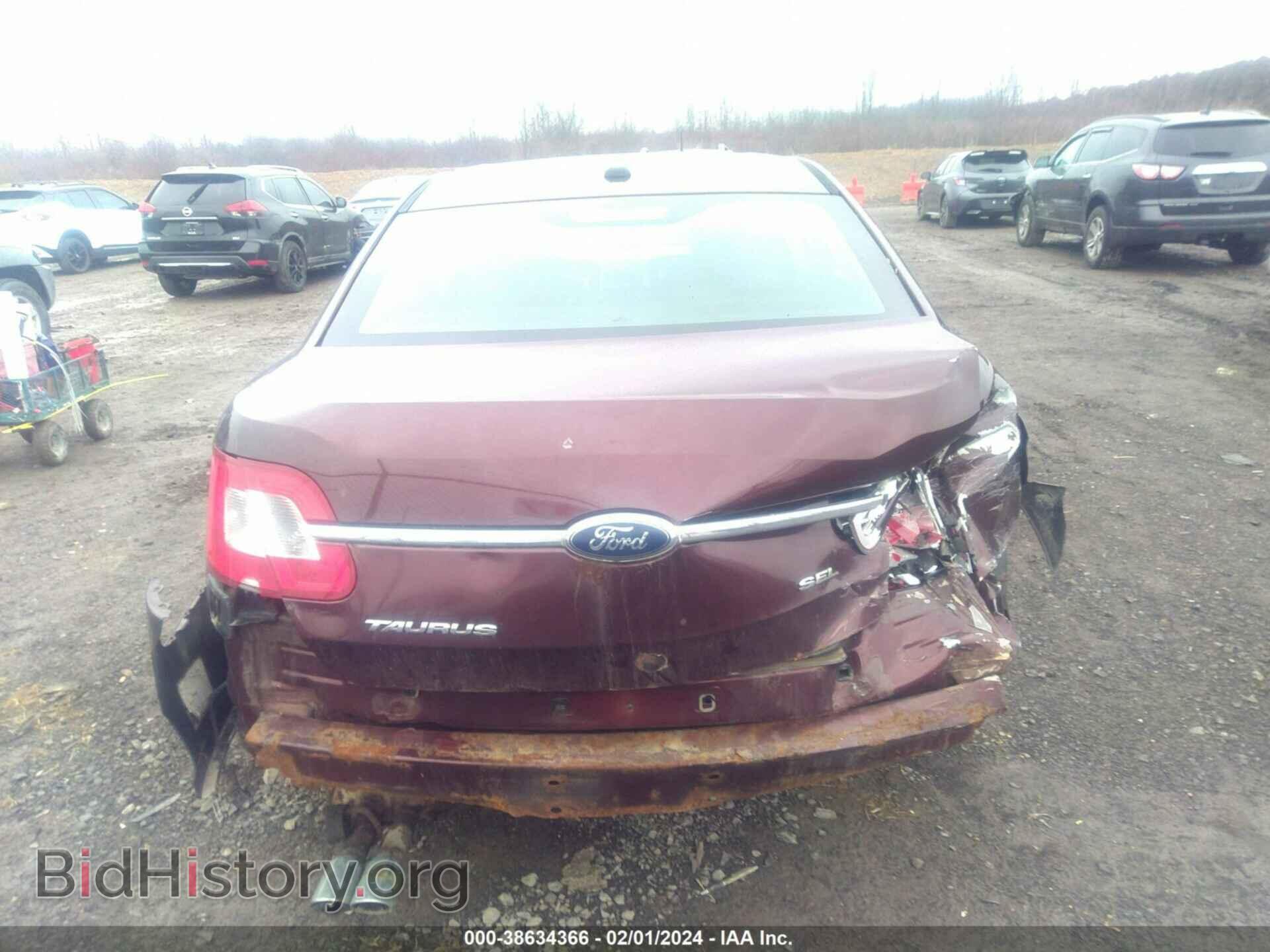 2010 FORD TAURUS - VIN: 1FAHP2EW1AG145232 - Фото 6