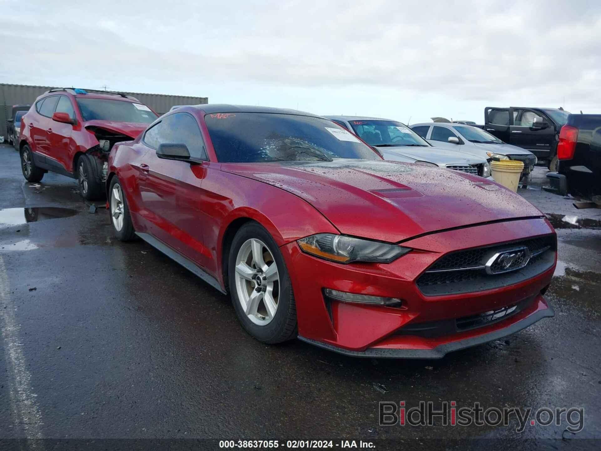 Photo 1FA6P8TH9K5106383 - FORD MUSTANG 2019