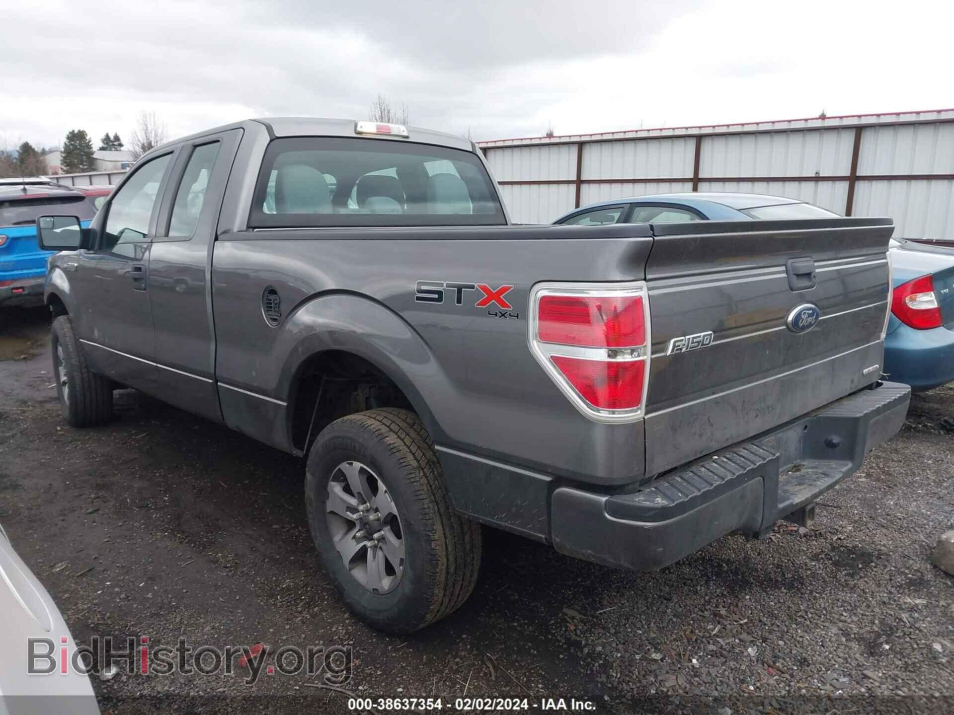 2013 FORD F-150 - VIN: 1FTFX1EF8DFD56613 - Photo 3