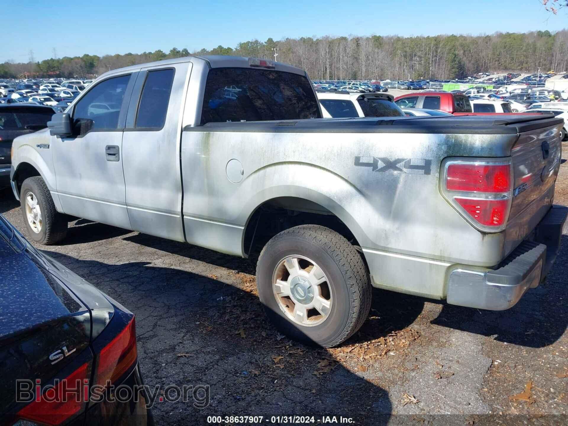 2011 FORD F-150 - VIN: 1FTFX1EFXBFB25242 - Фото 3