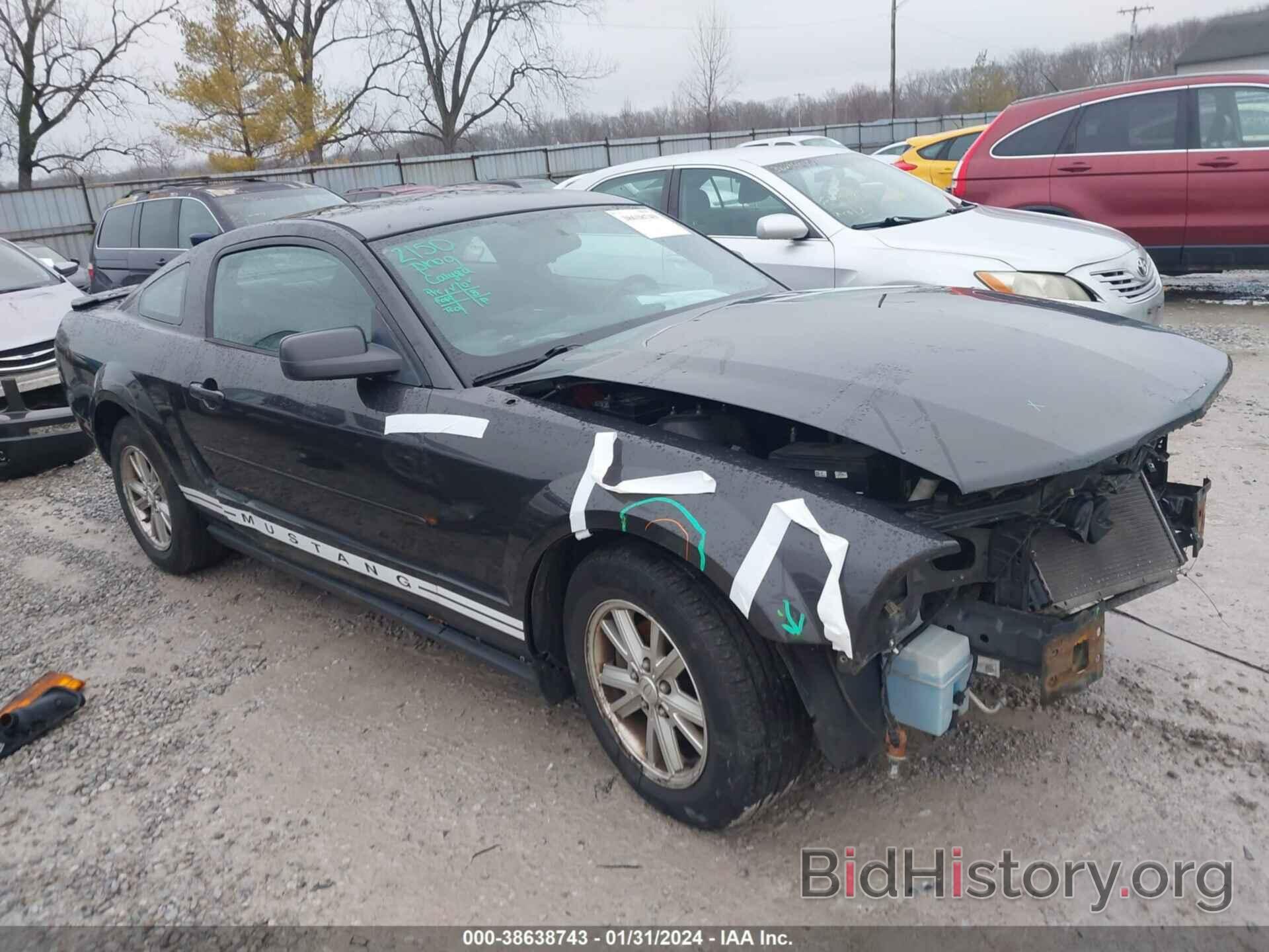 Photo 1ZVHT80N685190323 - FORD MUSTANG 2008