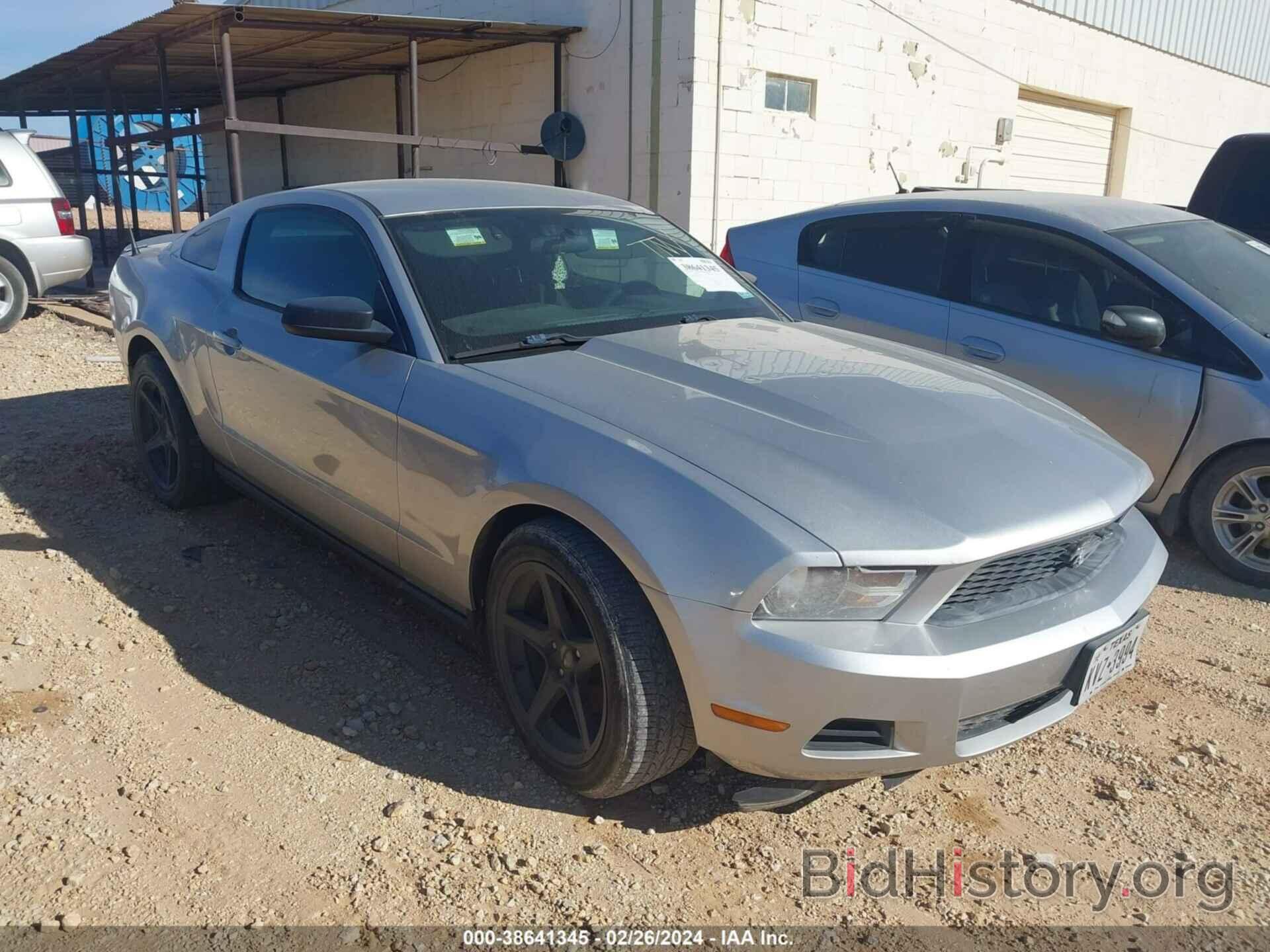 Photo 1ZVBP8AM3C5269800 - FORD MUSTANG 2012
