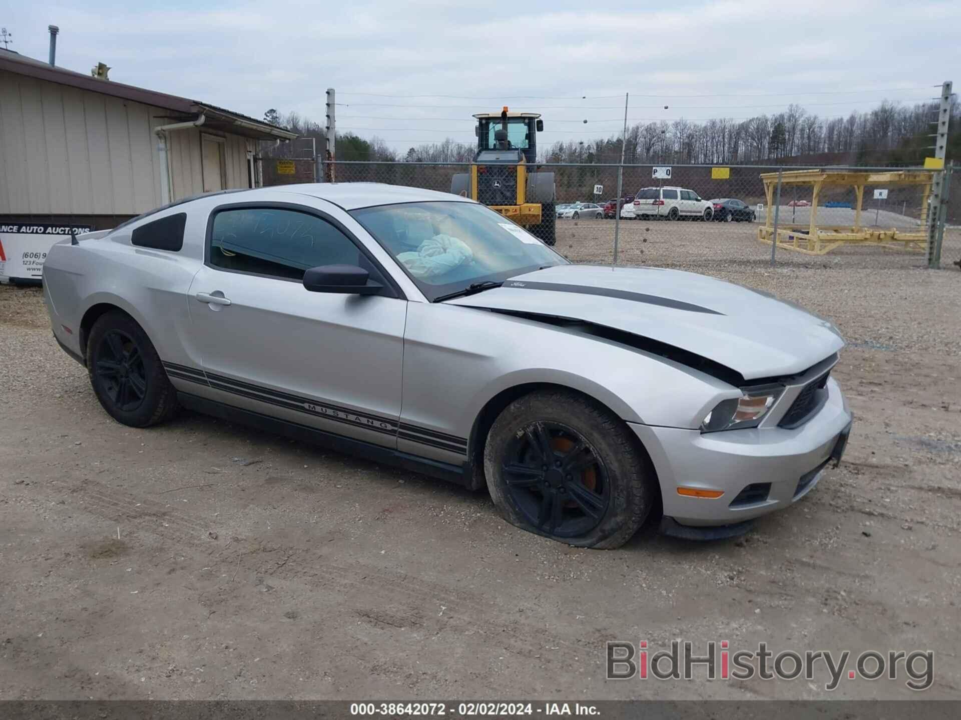 Photo 1ZVBP8AN9A5114416 - FORD MUSTANG 2010