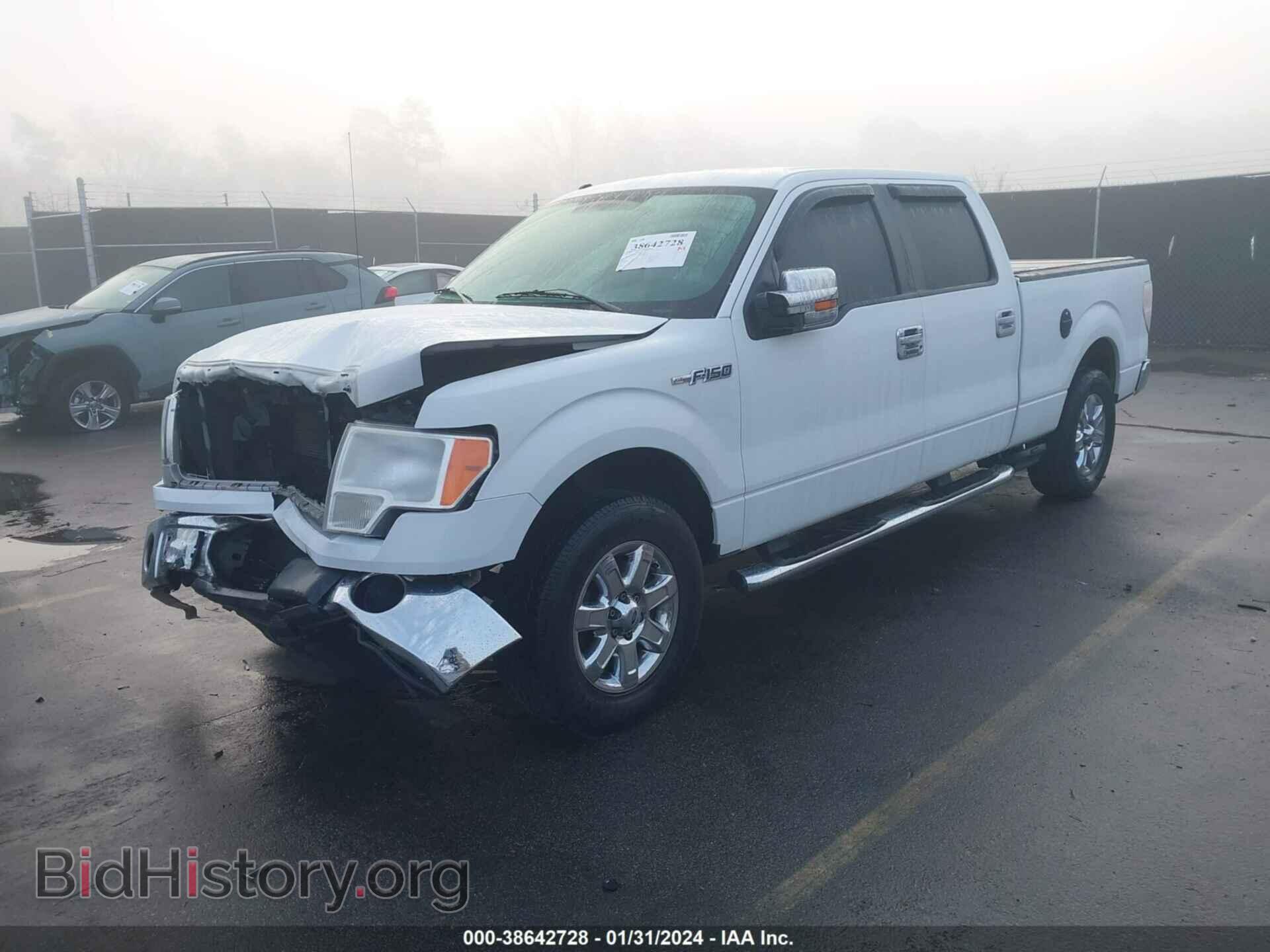 2013 FORD F-150 - VIN: 1FTFW1CF9DFA72509 - Фото 2