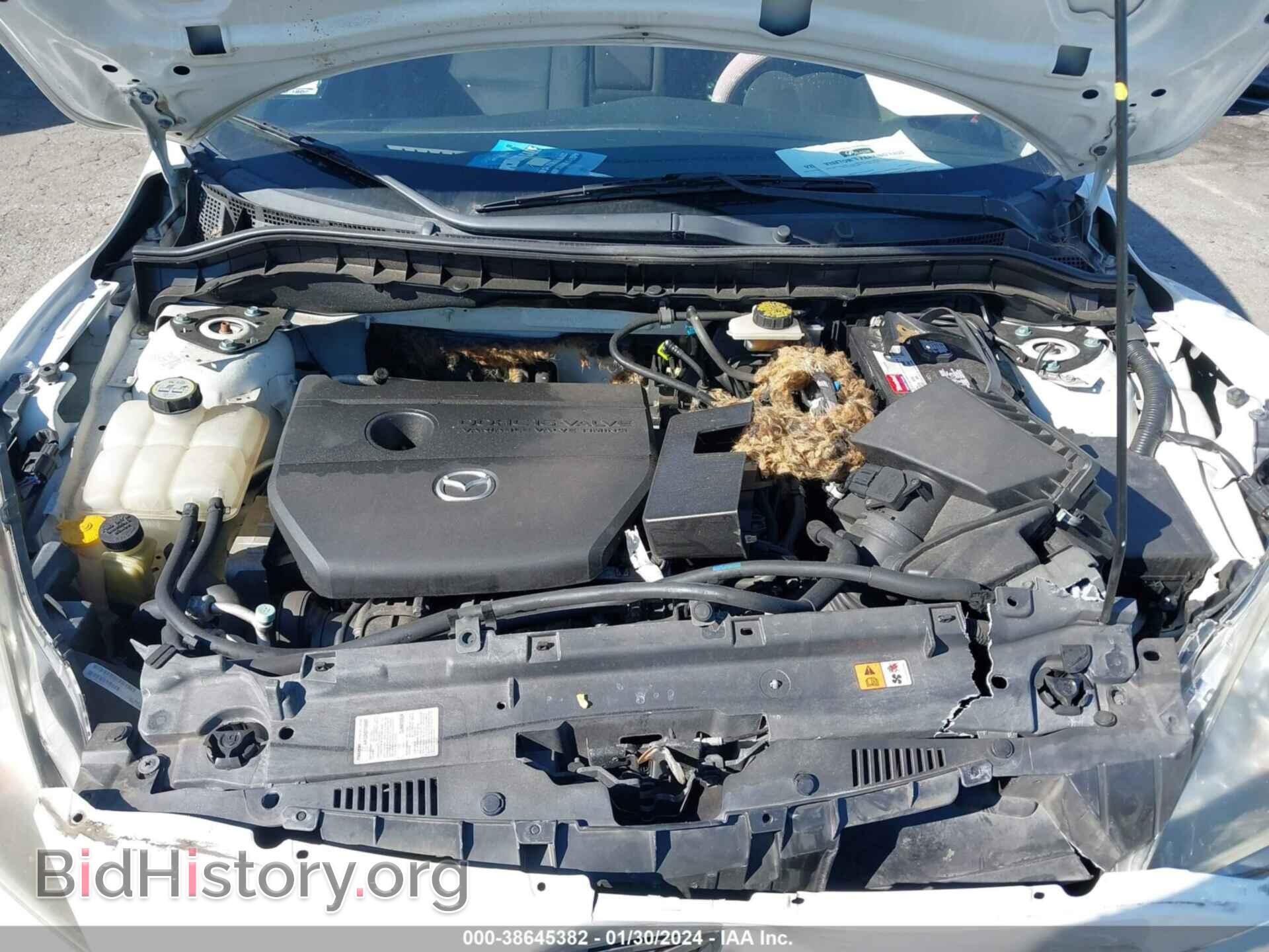 2010 MAZDA MAZDA3 - VIN: JM1BL1SG4A1351084 - Фото 10