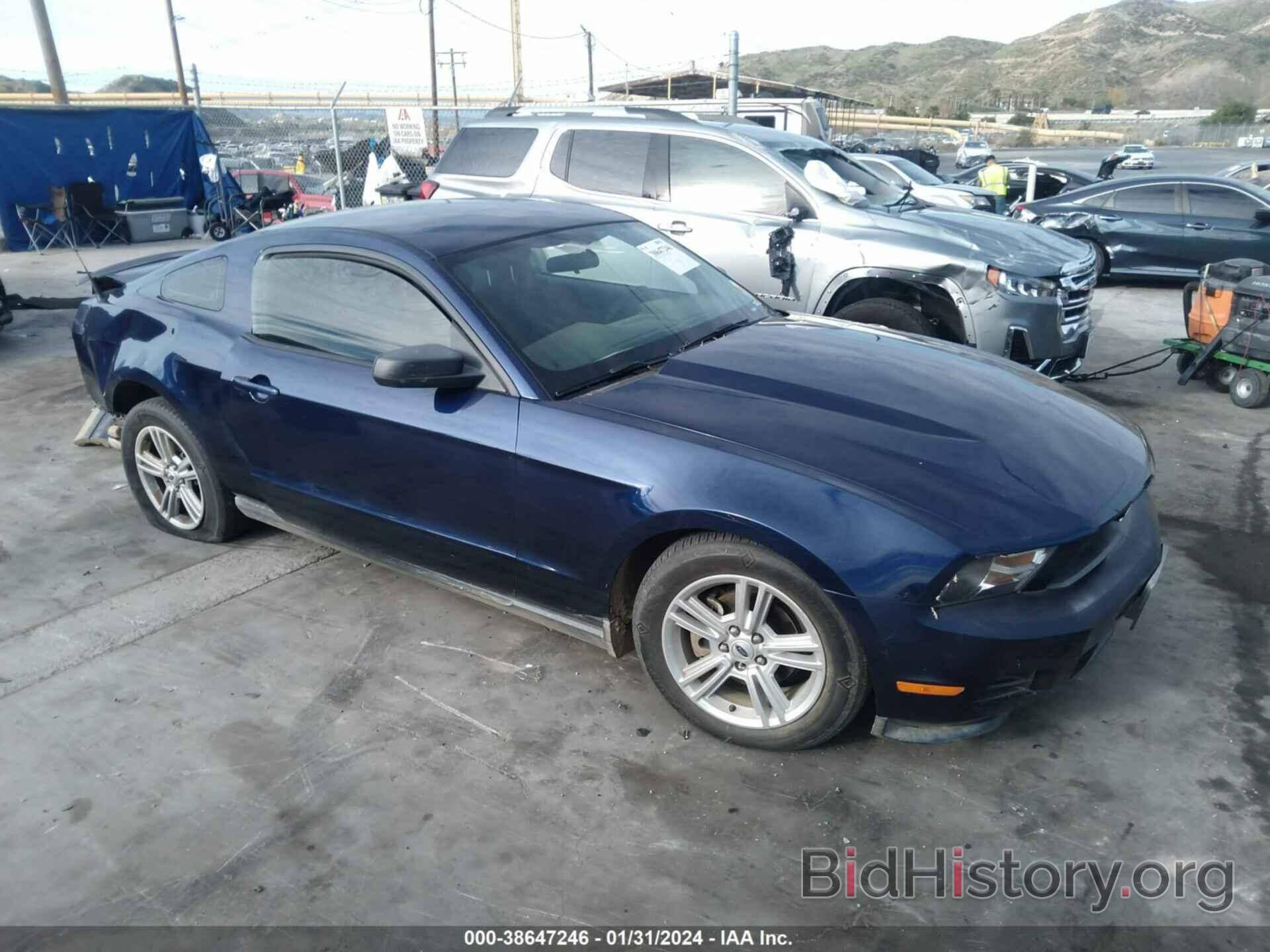 Photo 1ZVBP8AN5A5164245 - FORD MUSTANG 2010