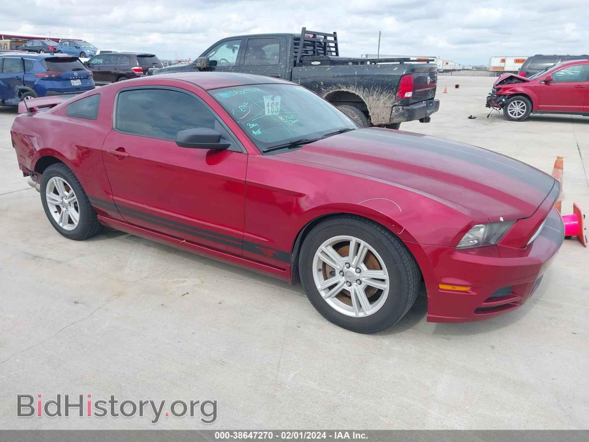 Photo 1ZVBP8AM7E5261007 - FORD MUSTANG 2014