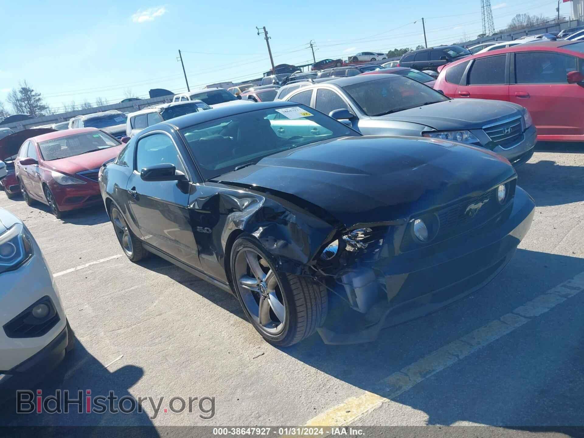 Фотография 1ZVBP8CF8C5274070 - FORD MUSTANG 2012