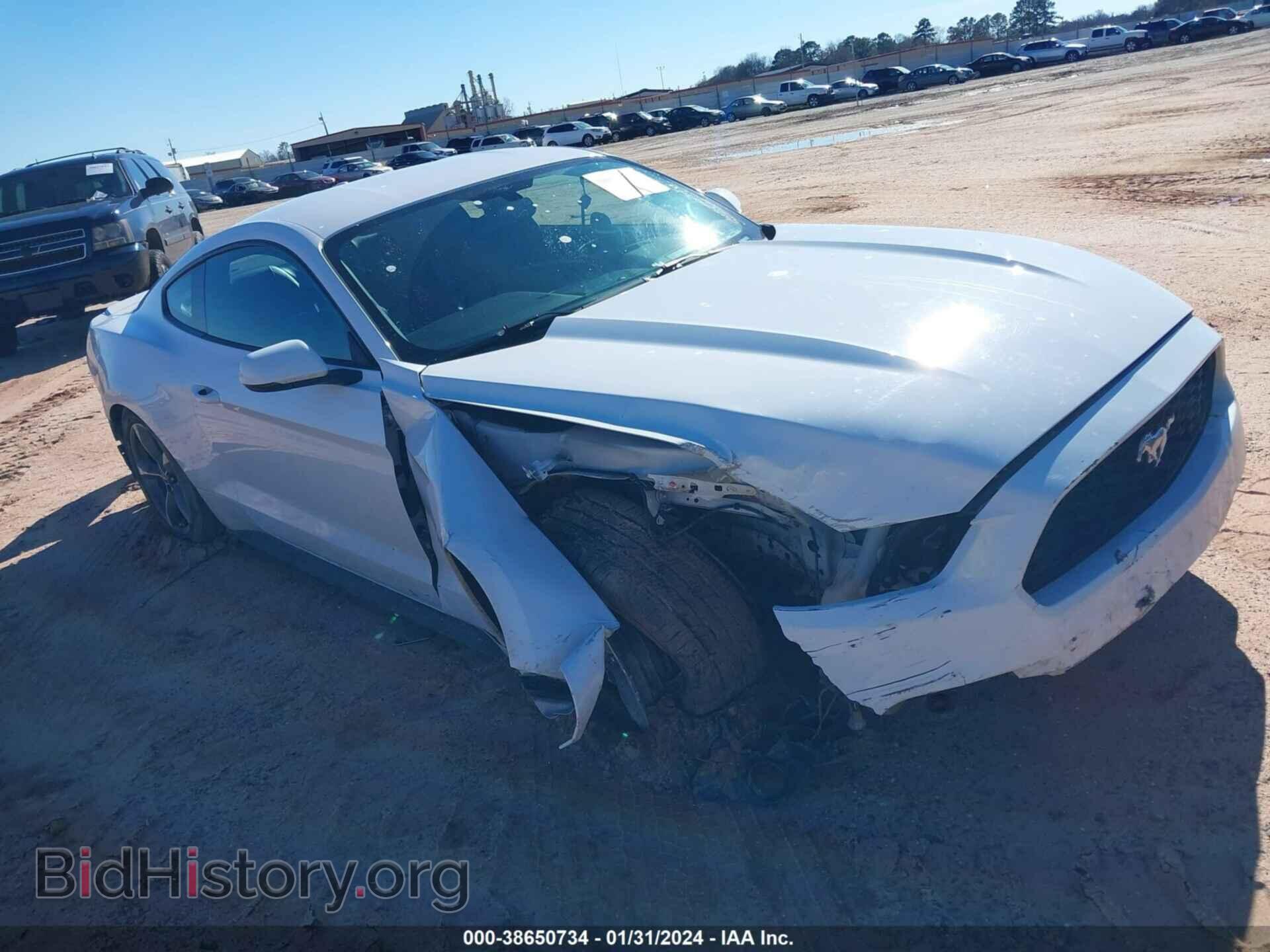 Фотография 1FA6P8TH3H5208108 - FORD MUSTANG 2017