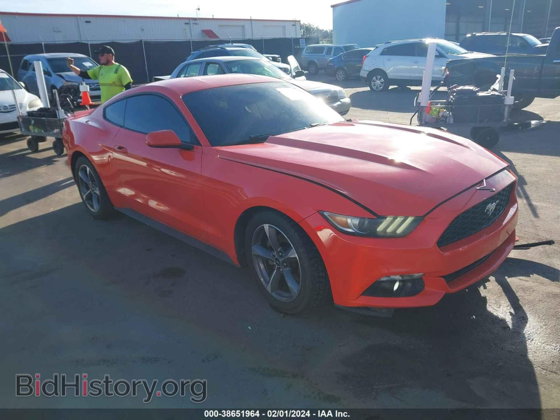Фотография 1FA6P8TH7F5299672 - FORD MUSTANG 2015