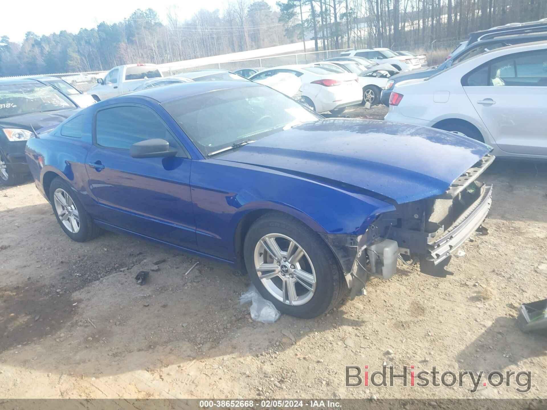 Photo 1ZVBP8AMXD5241722 - FORD MUSTANG 2013