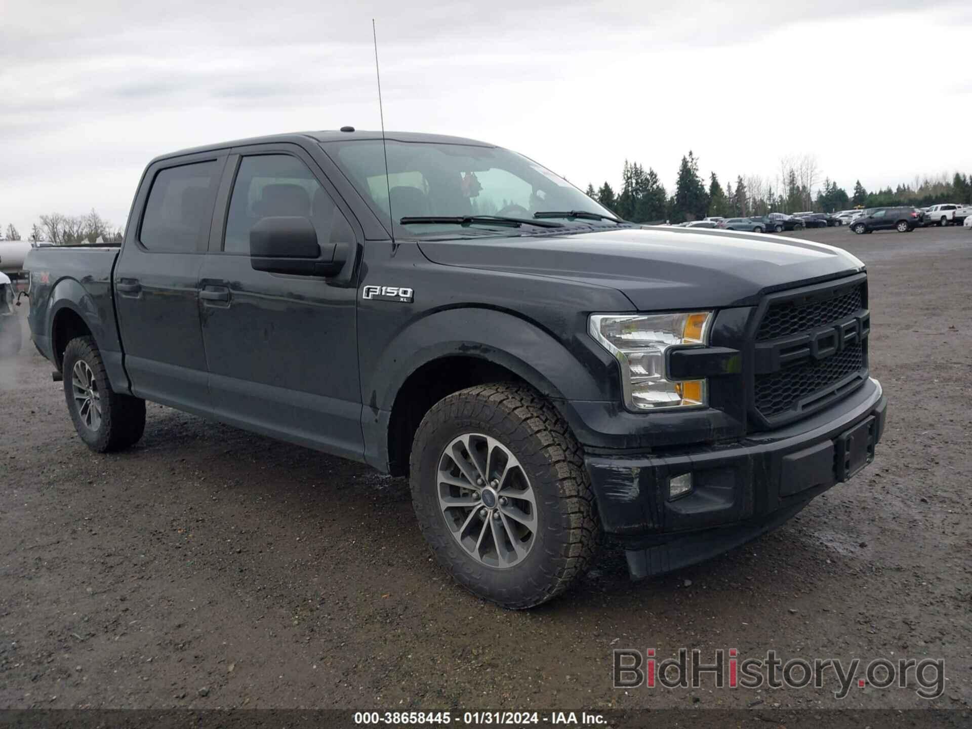Photo 1FTEW1CF3HFC81262 - FORD F-150 2017