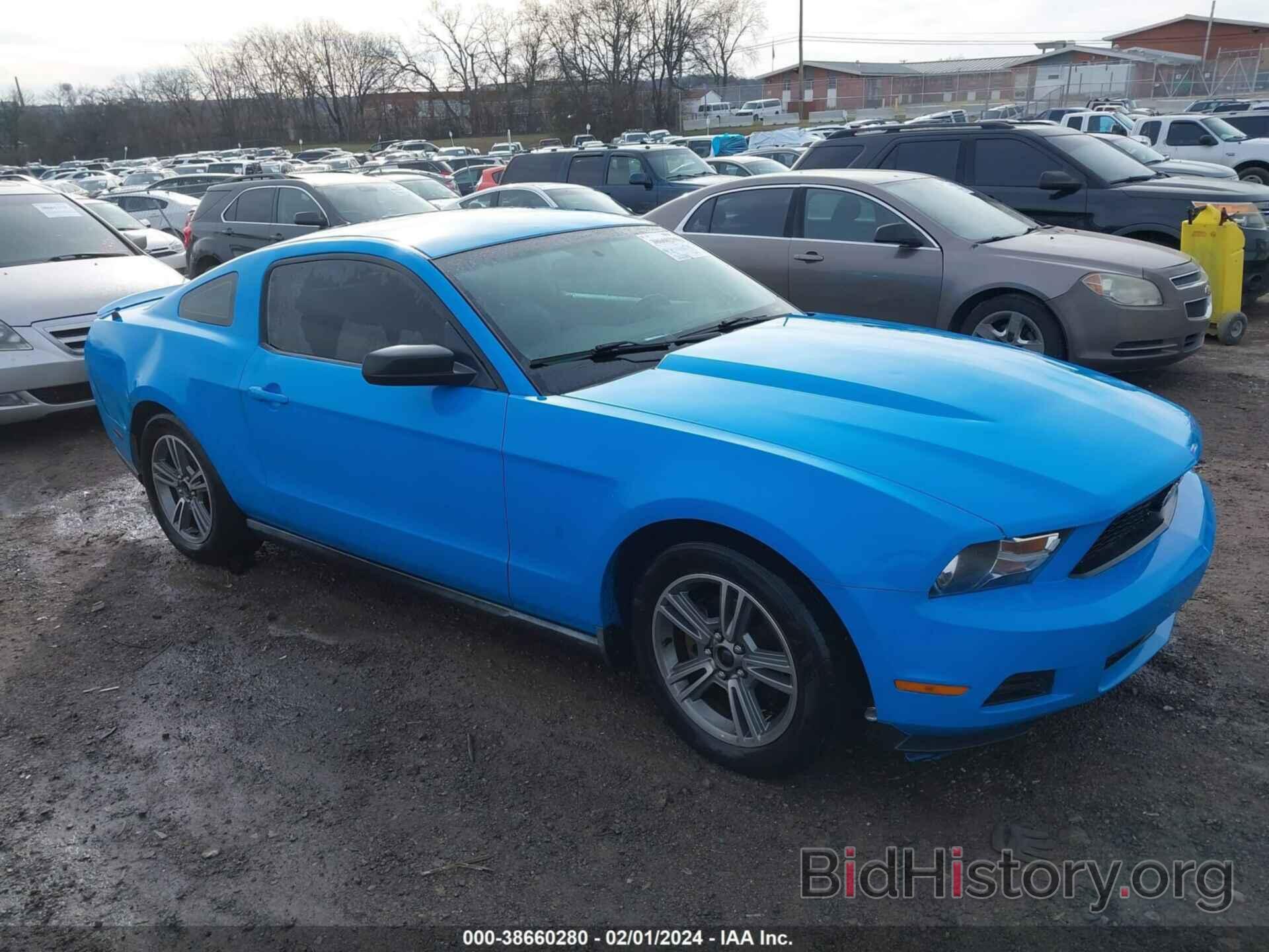 Photo 1ZVBP8AN8A5106906 - FORD MUSTANG 2010