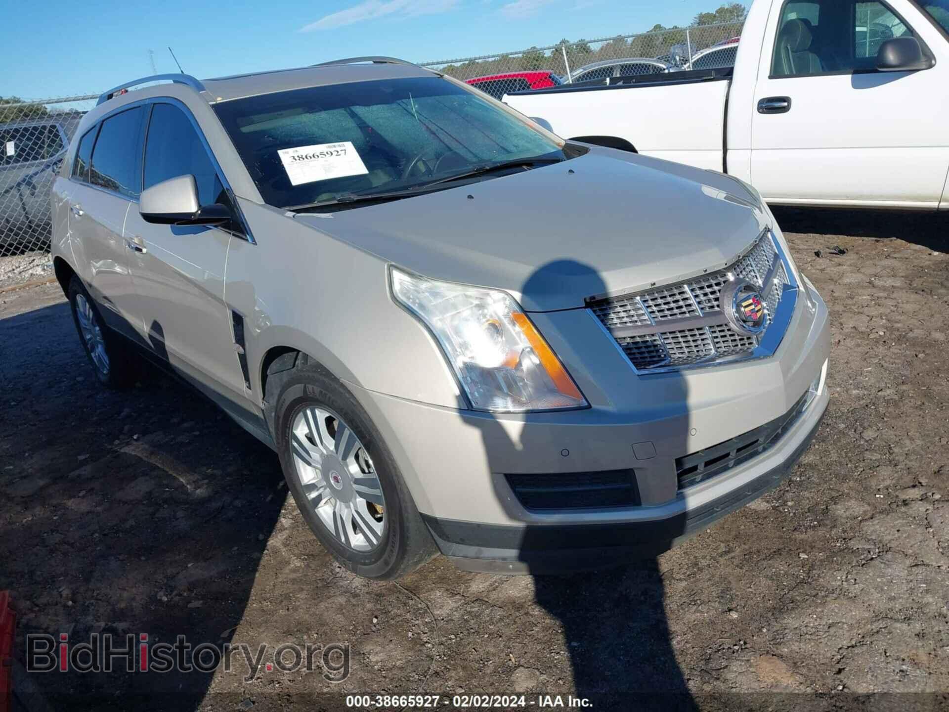 Фотография 3GYFNAEY3BS620573 - CADILLAC SRX 2011