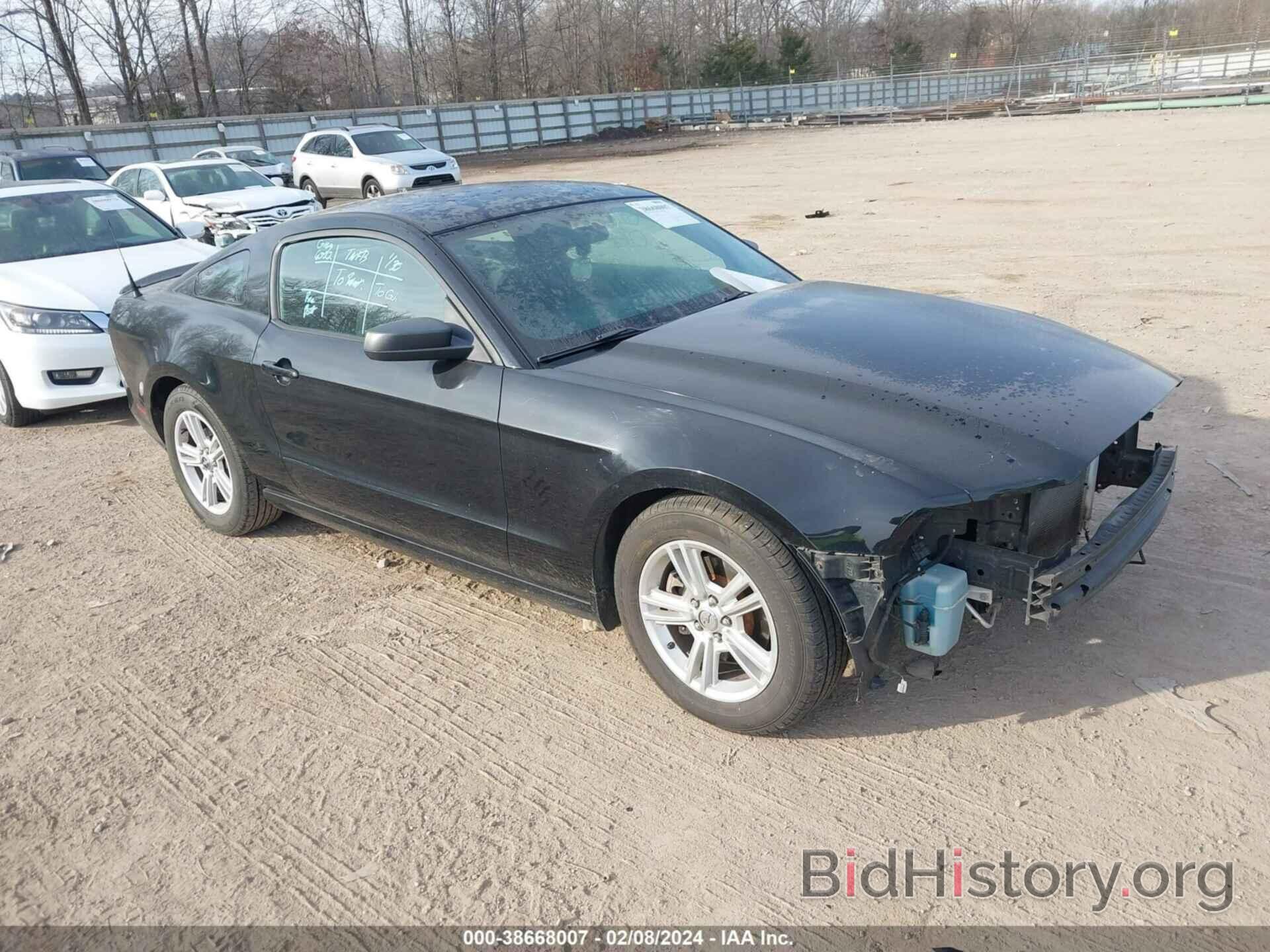 Photo 1ZVBP8AM5D5206022 - FORD MUSTANG 2013
