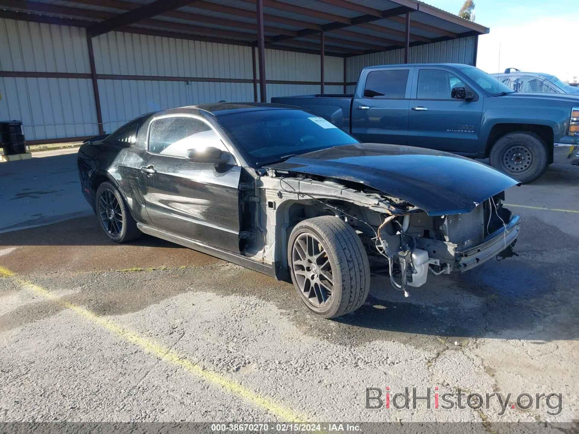 Photo 1ZVBP8AM3E5254264 - FORD MUSTANG 2014