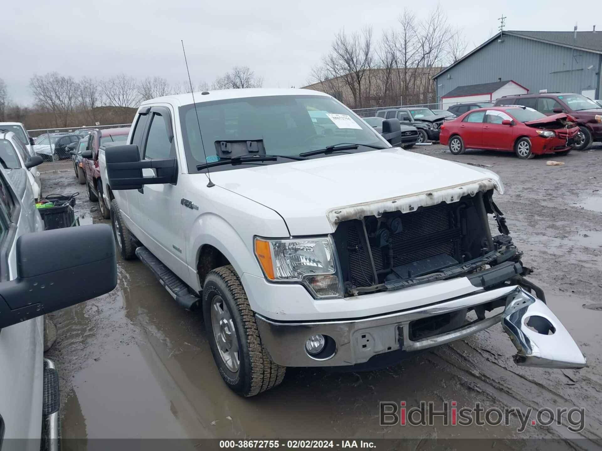 Photo 1FTFX1CT6CFB52464 - FORD F-150 2012