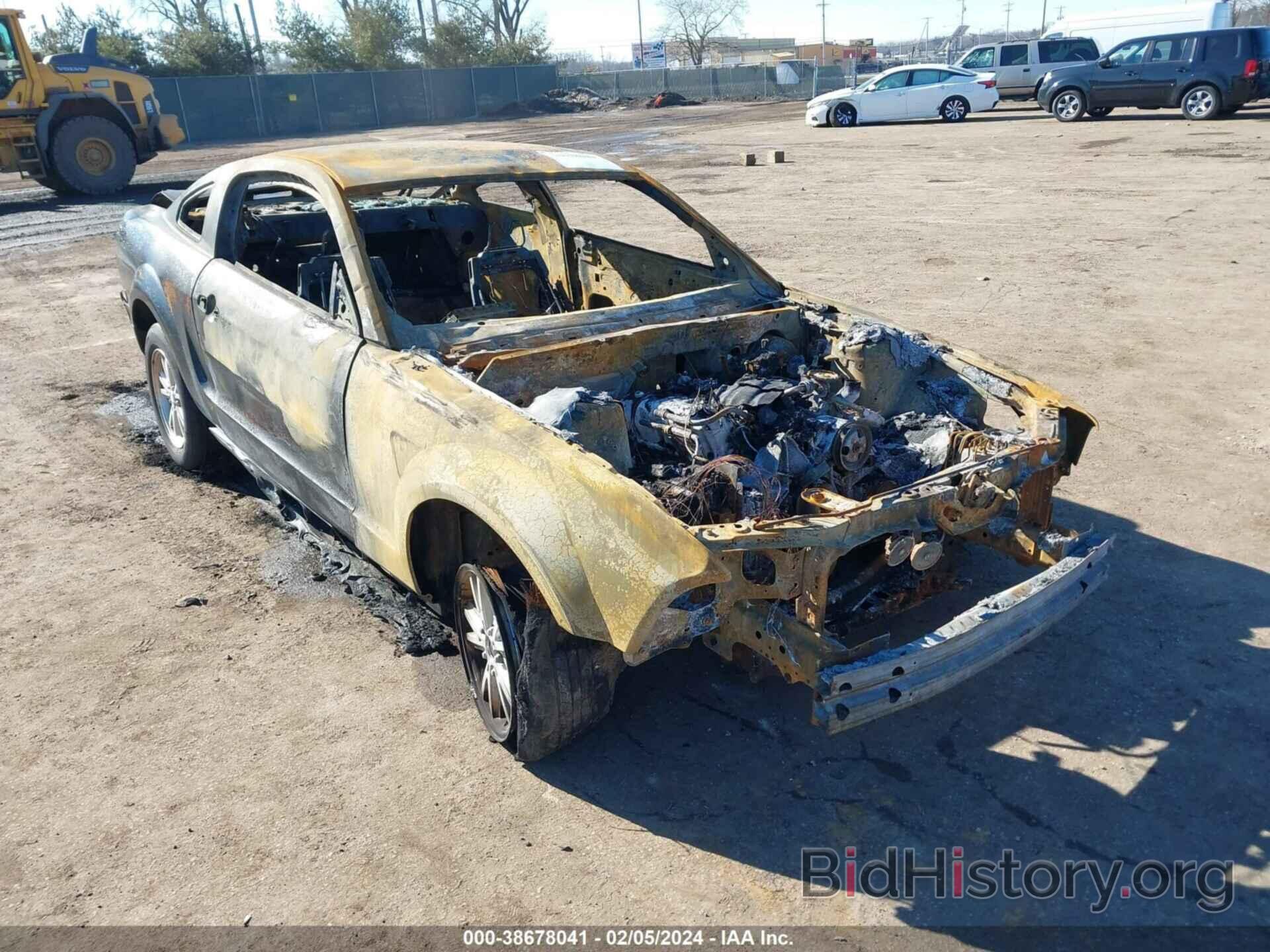 Photo 1ZVHT80N385124232 - FORD MUSTANG 2008