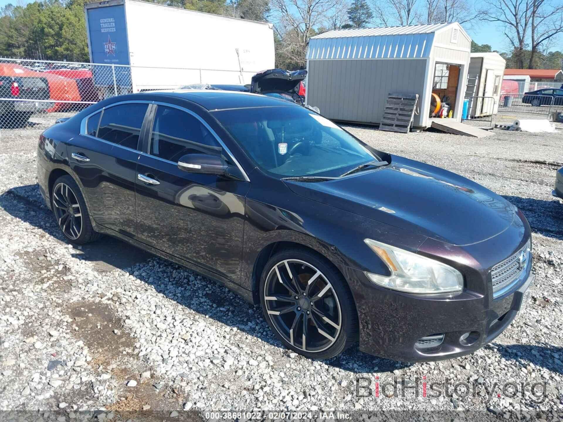 Photo 1N4AA5AP7AC841846 - NISSAN MAXIMA 2010