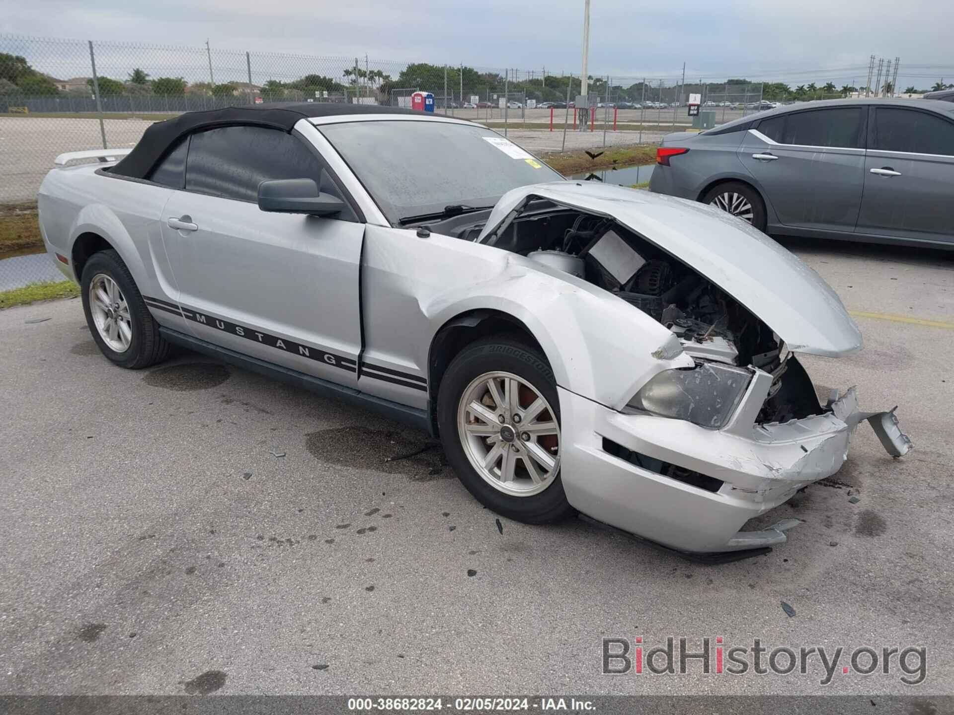 Photo 1ZVFT84N775239710 - FORD MUSTANG 2007