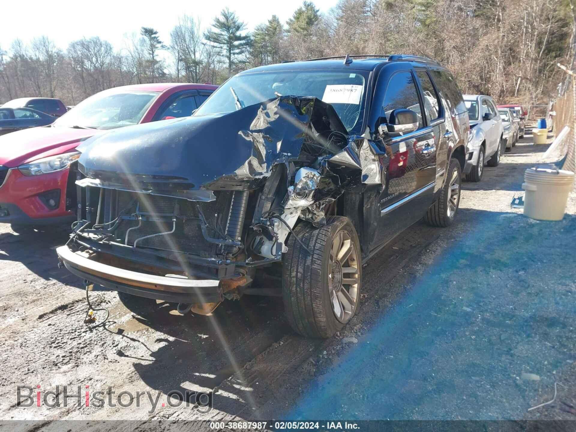 2011 CADILLAC ESCALADE - VIN: 1GYS4CEF9BR393744 - Фото 2