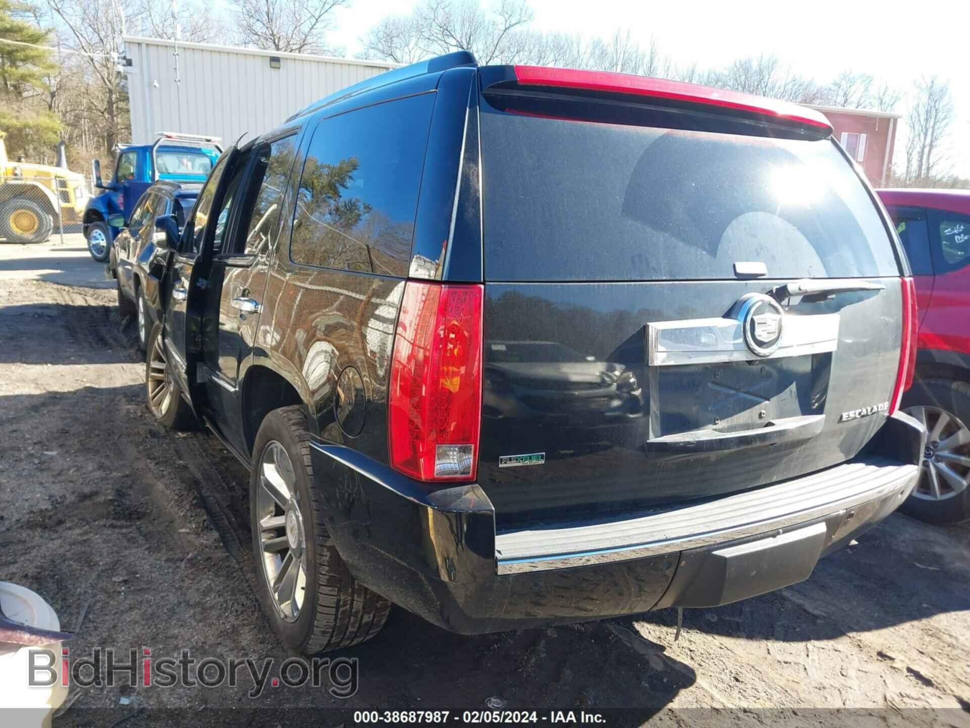 2011 CADILLAC ESCALADE - VIN: 1GYS4CEF9BR393744 - Фото 3