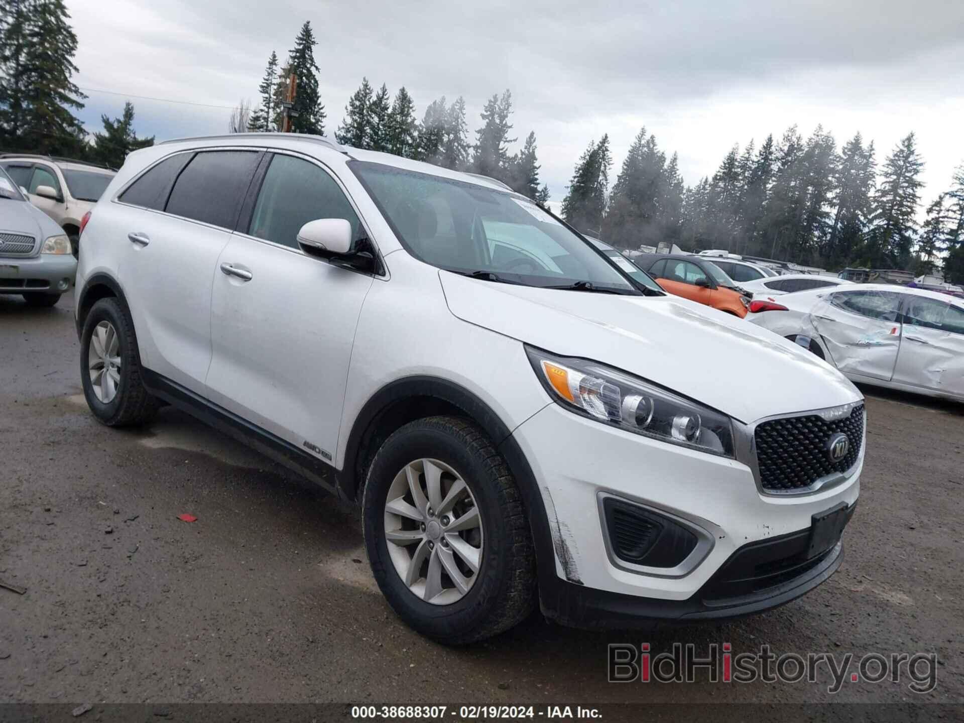 Photo 5XYPGDA51GG176345 - KIA SORENTO 2016