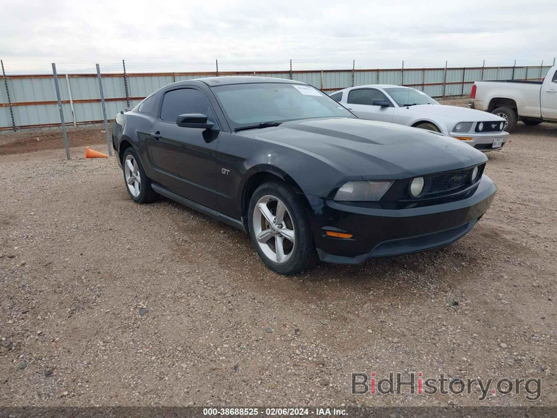 Photo 1ZVBP8CH9A5120837 - FORD MUSTANG 2010