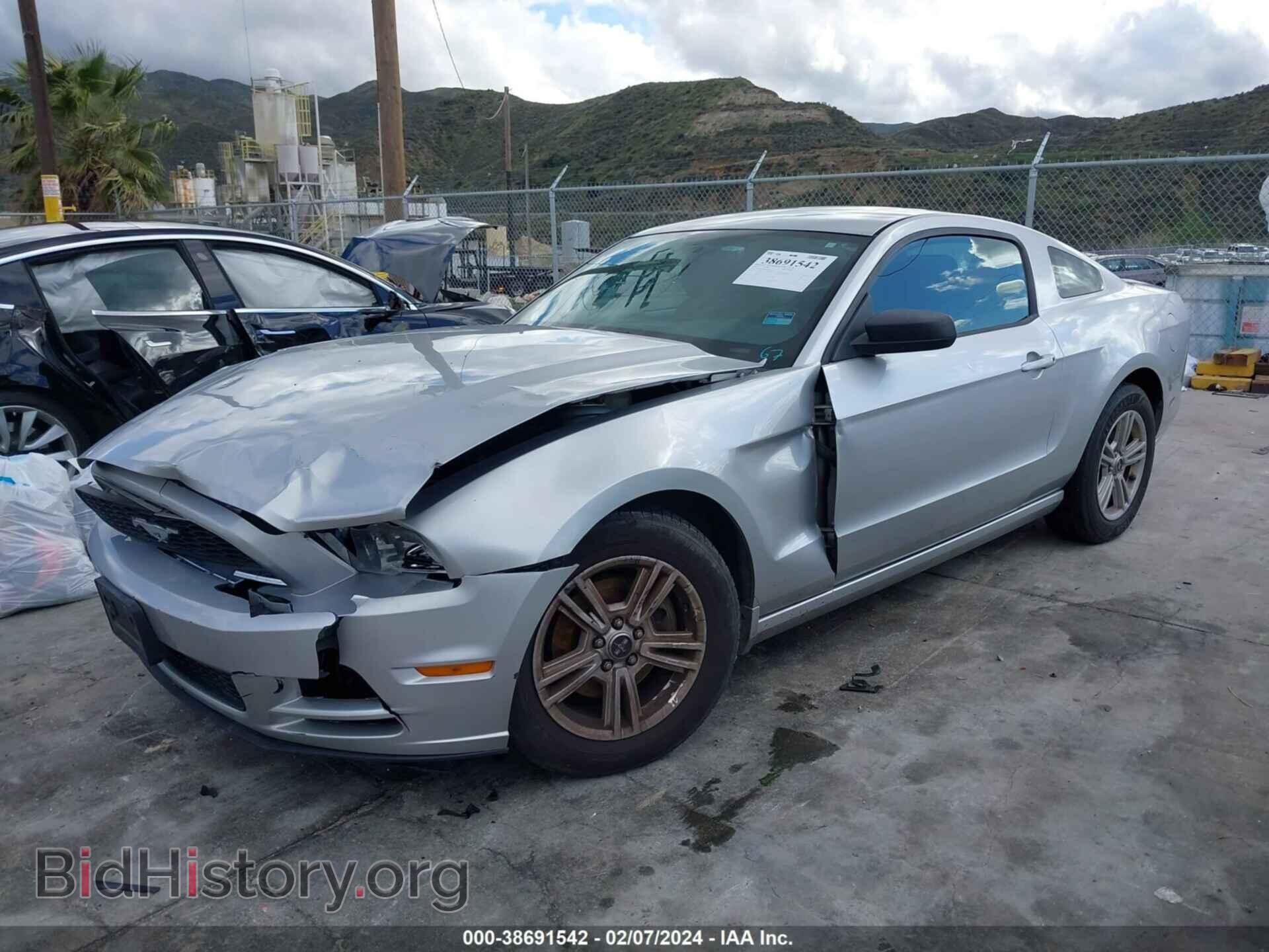 2014 FORD MUSTANG - VIN: 1ZVBP8AM1E5267076 - Фото 2