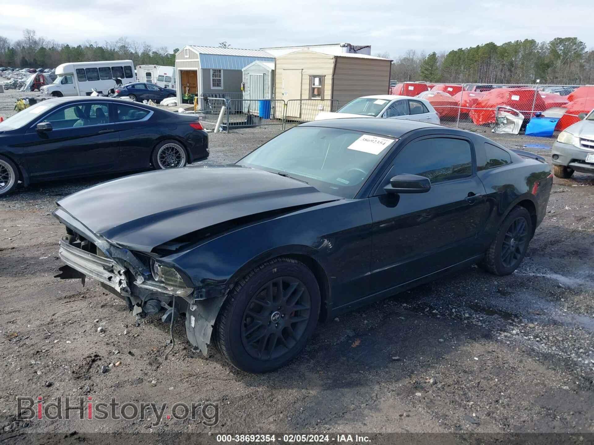 2014 FORD MUSTANG - VIN: 1ZVBP8AM8E5320193 - Фото 2