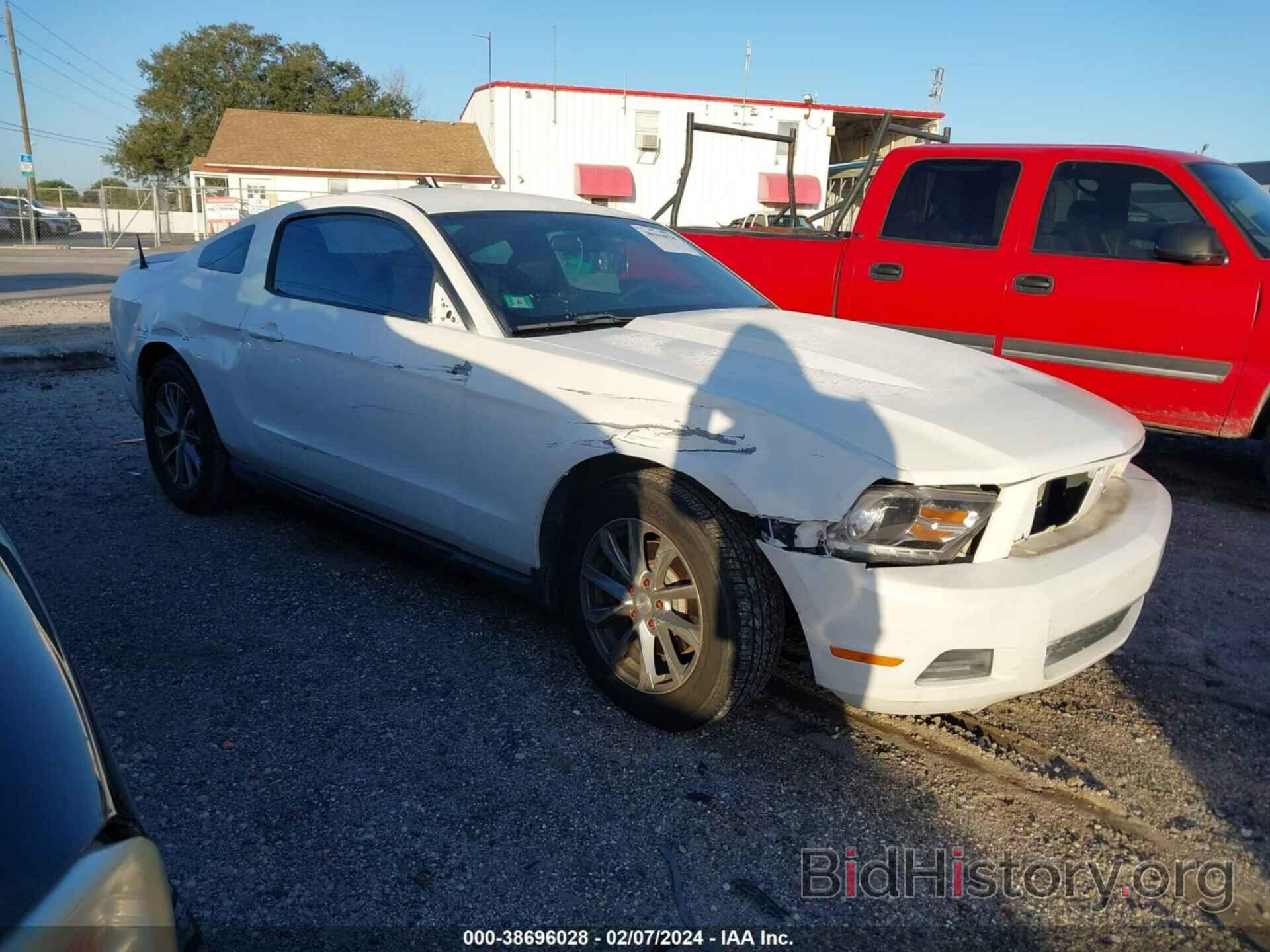 Photo 1ZVBP8AM4C5231296 - FORD MUSTANG 2012